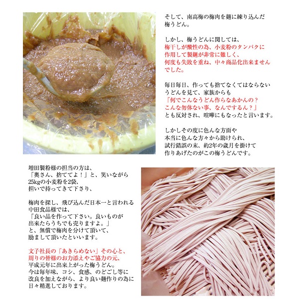 紀州冷し梅うどん 4食スープ付