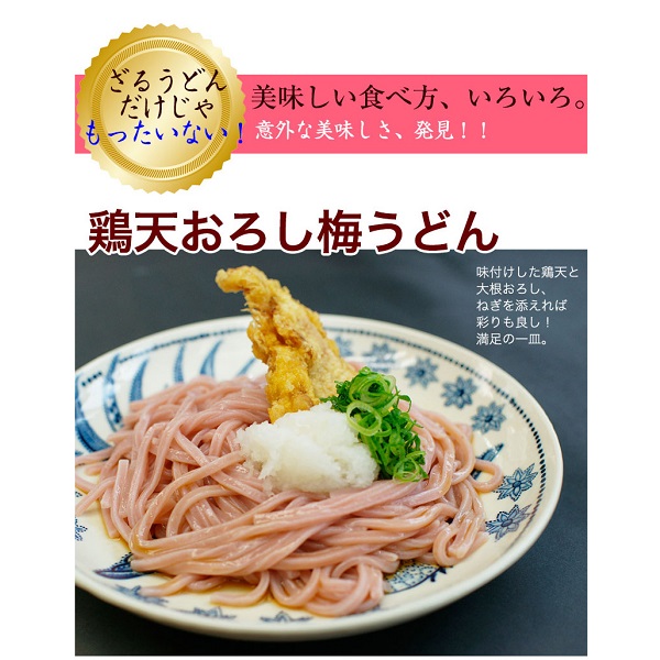 紀州冷し梅うどん 4食スープ付