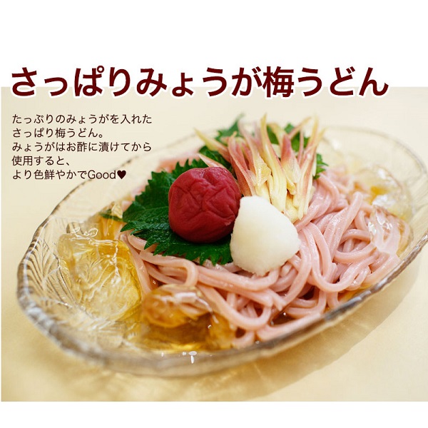 紀州冷し梅うどん 4食スープ付