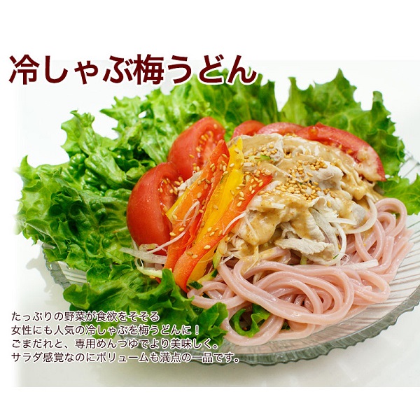 紀州冷し梅うどん 4食スープ付
