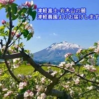 桃 大玉約1.5kg 秀品 青森津軽農園産