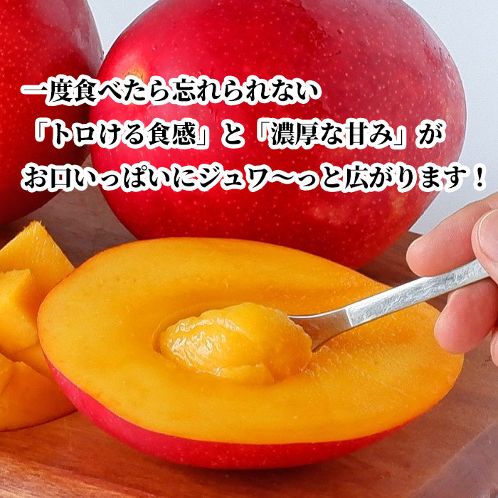 沖縄産アップルマンゴー1玉(400g以上)