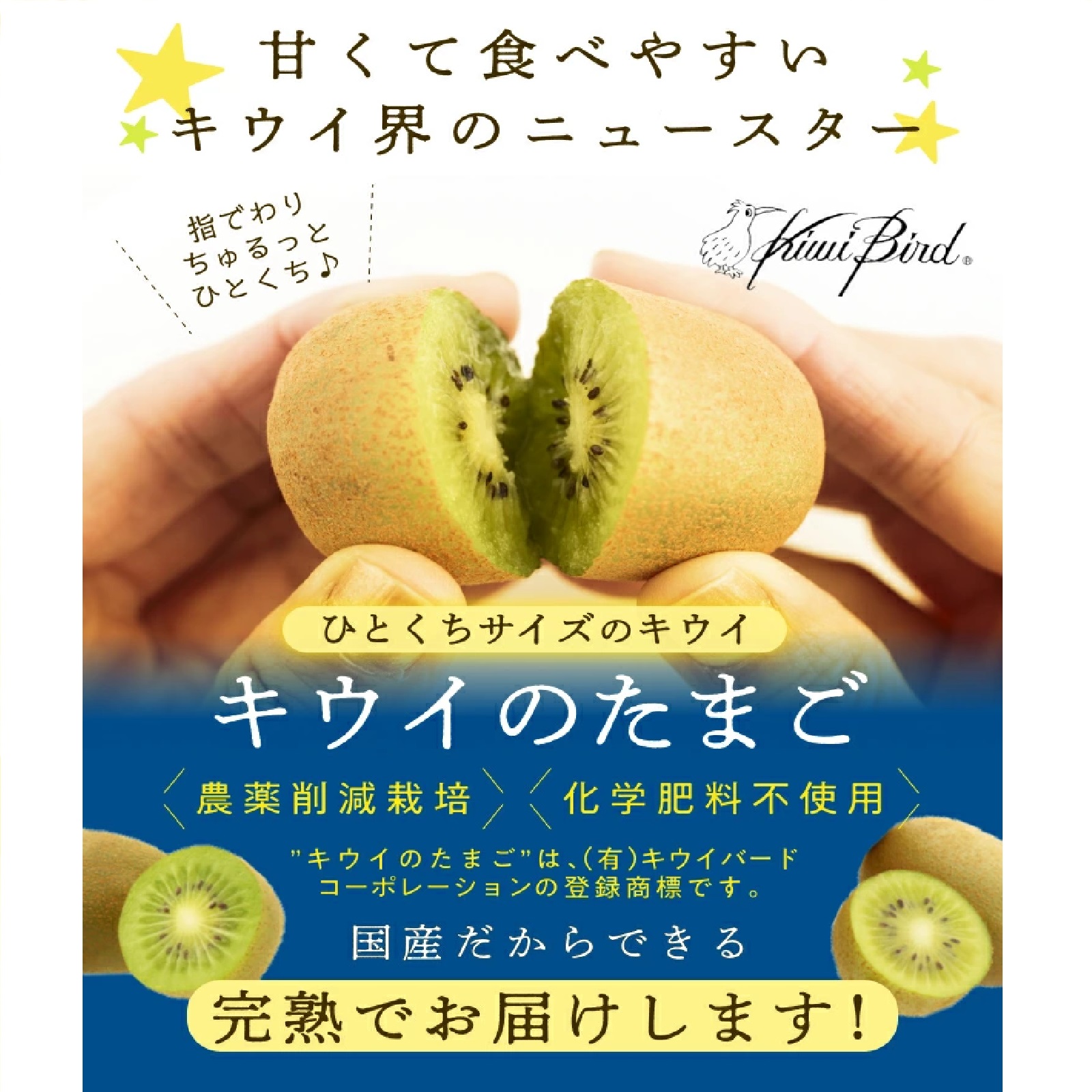 香川県産ひとくちキウイ”キウイのたまご”(品種：さぬきキウイっこ) 24玉