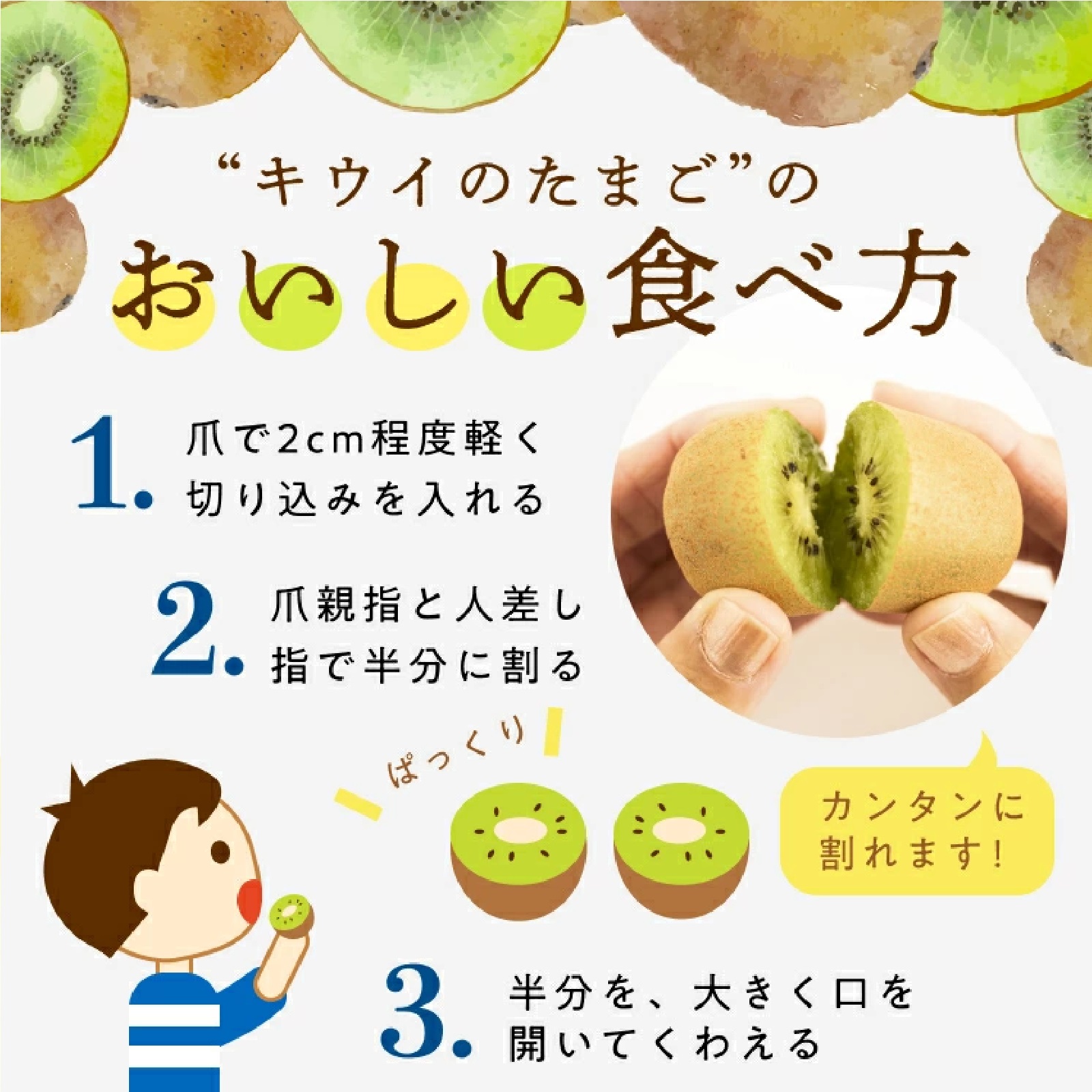 香川県産ひとくちキウイ”キウイのたまご”(品種：さぬきキウイっこ) 24玉