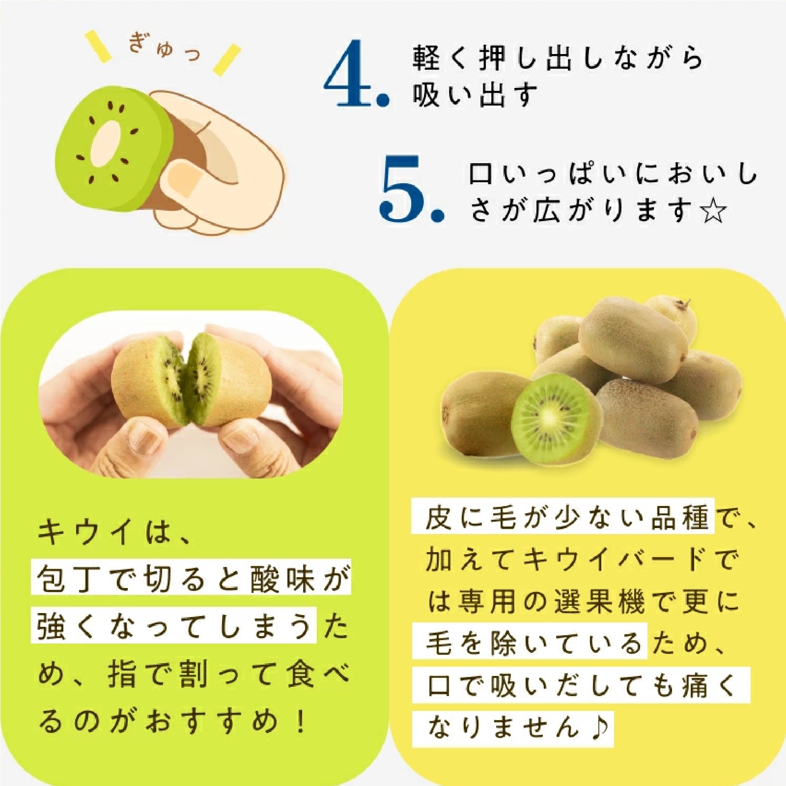 香川県産ひとくちキウイ”キウイのたまご”(品種：さぬきキウイっこ) 24玉