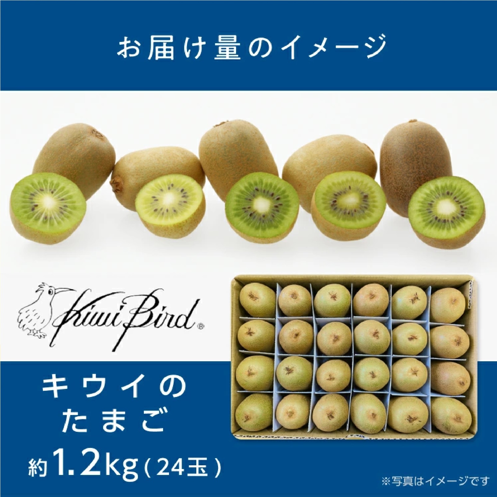 香川県産ひとくちキウイ”キウイのたまご”(品種：さぬきキウイっこ) 24玉