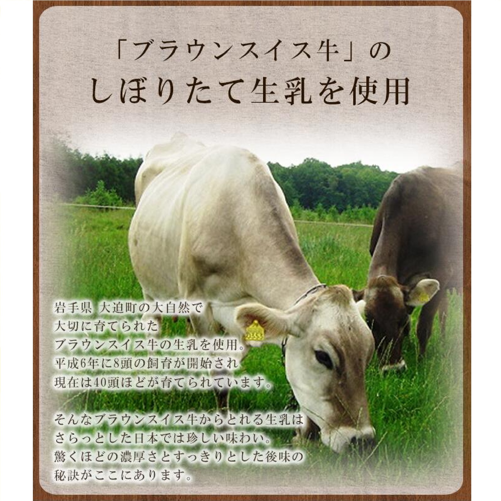 岩手早池峰 のむヨーグルト 『720ml×2本セット』
