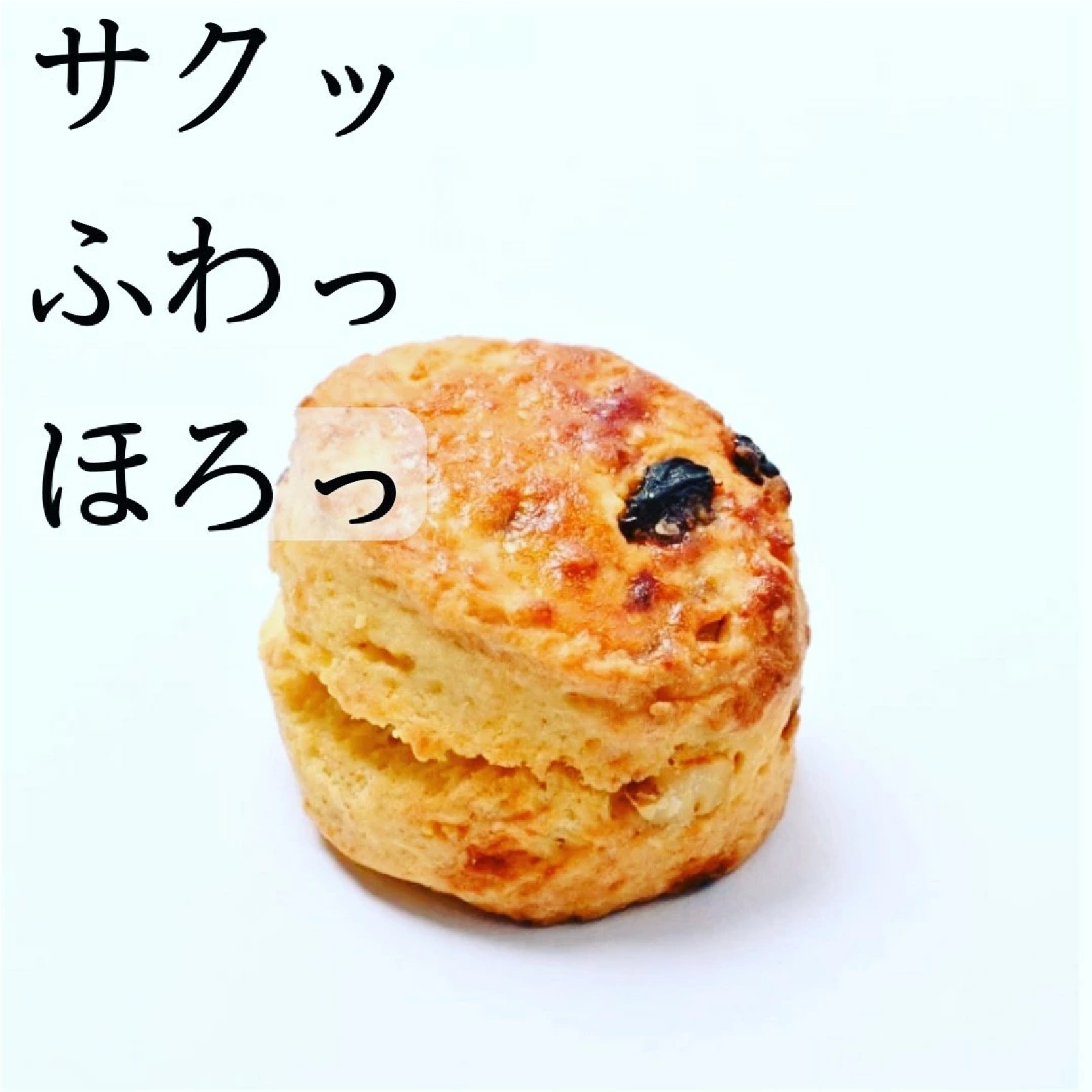 パティスリーモーベギャルソン スコーン各種1個 計7個＋塩バターホイップ