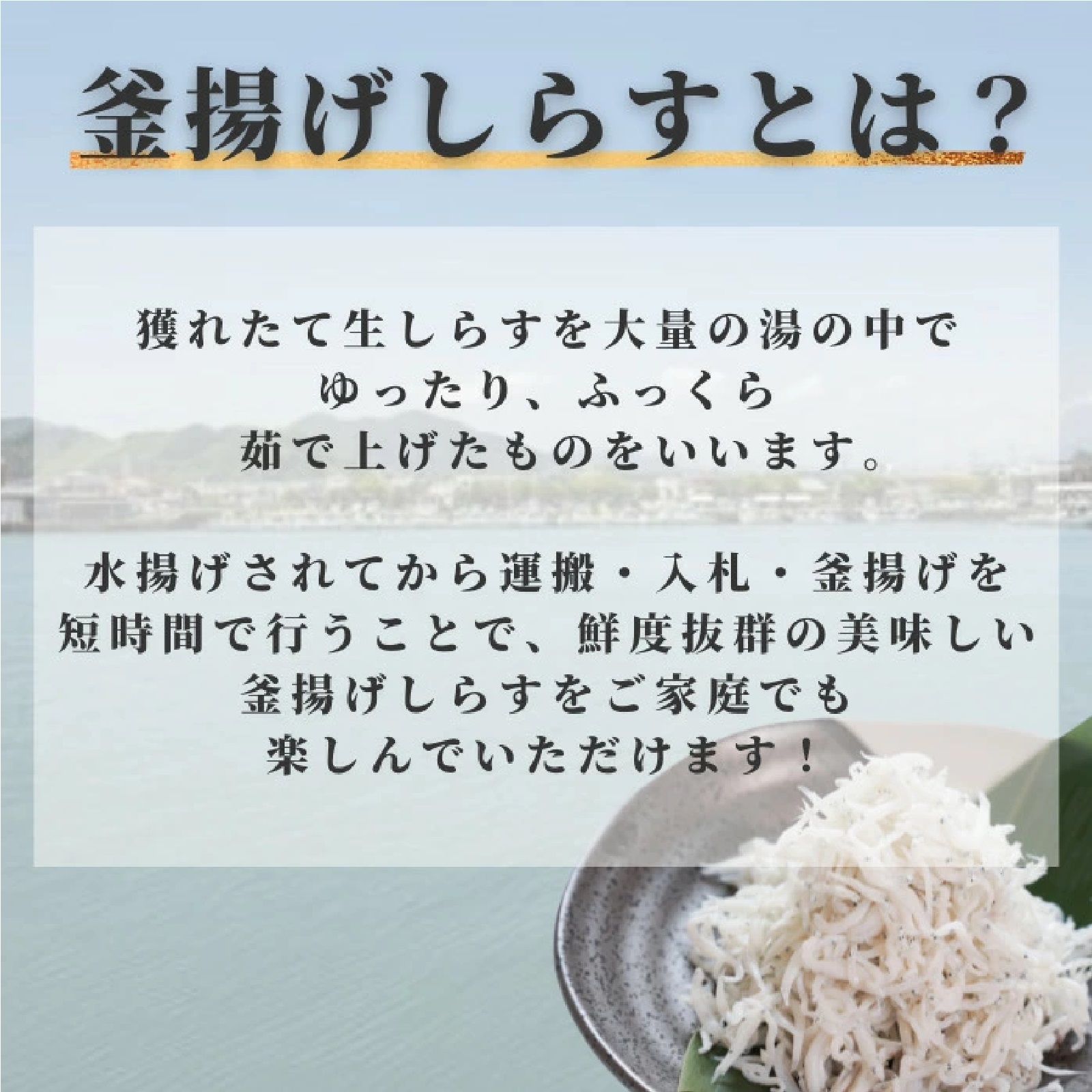 駿河湾産 釜揚げシラス 100g