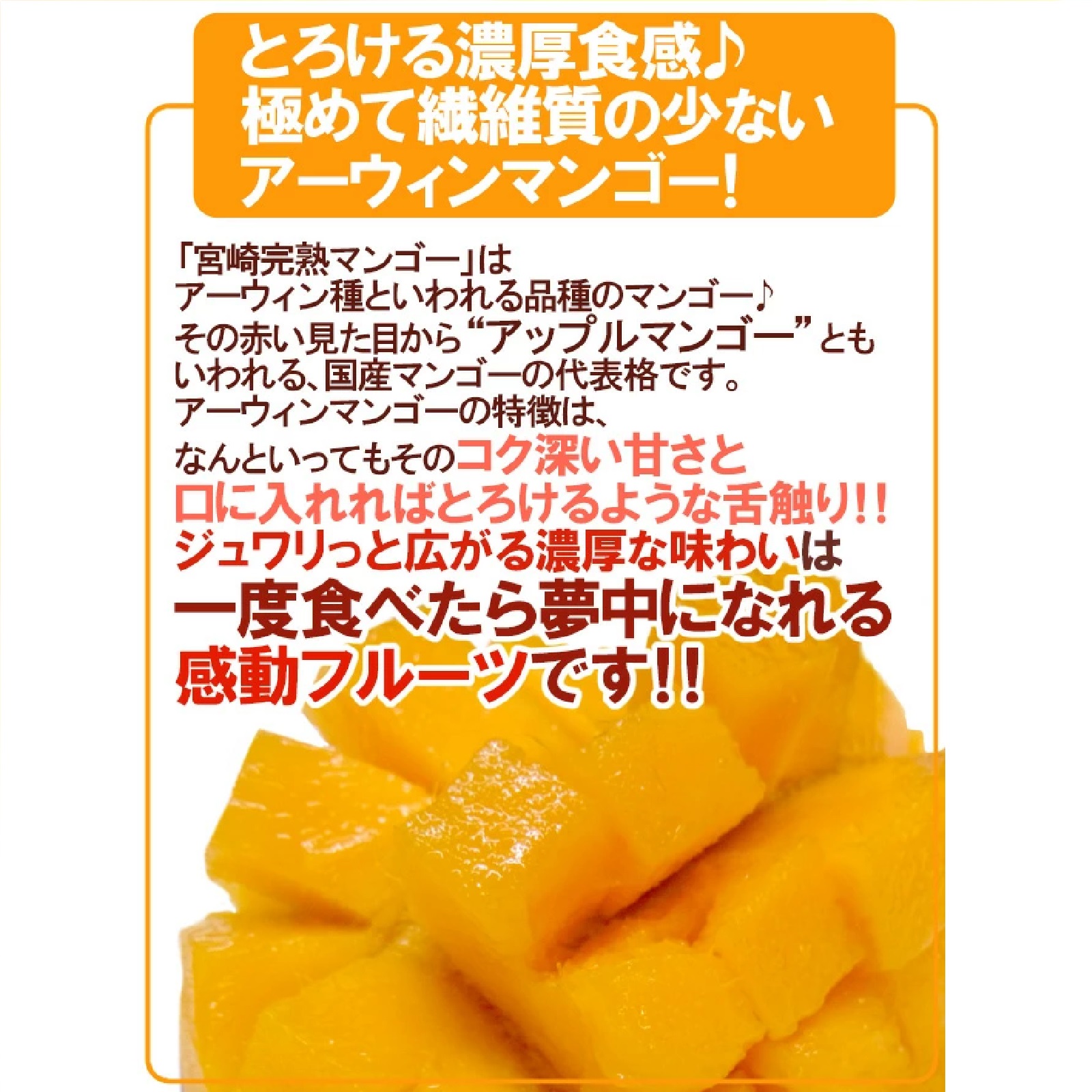 宮崎完熟マンゴー 秀品 2Lサイズ 2玉入り