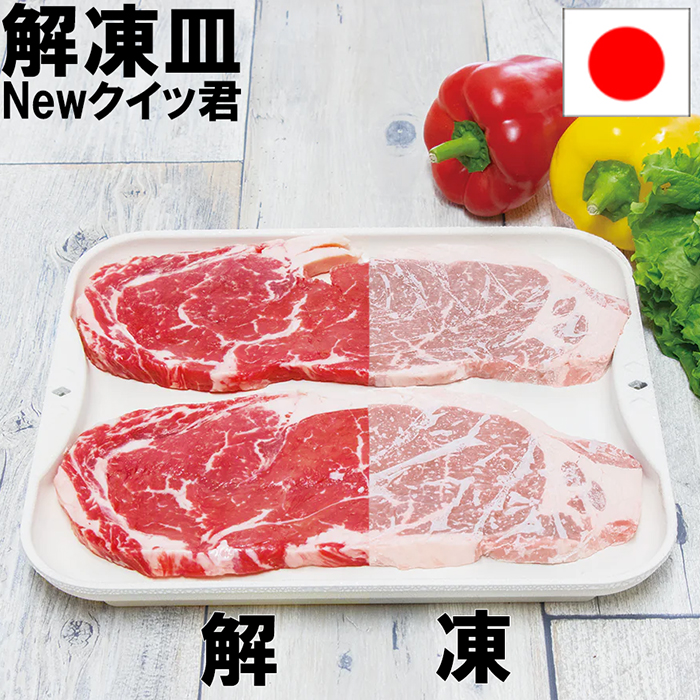 杉山金属 解凍皿Newクイッ君