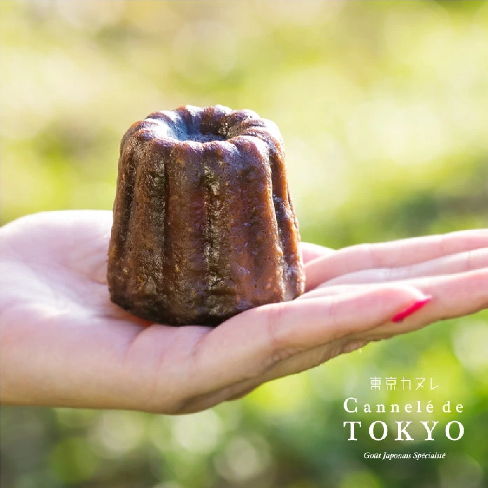 東京カヌレ アソート 12個セット