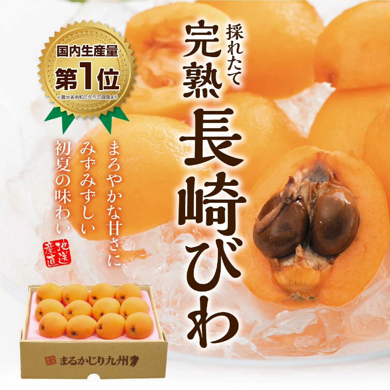 長崎びわ 1箱 500g(12玉) 