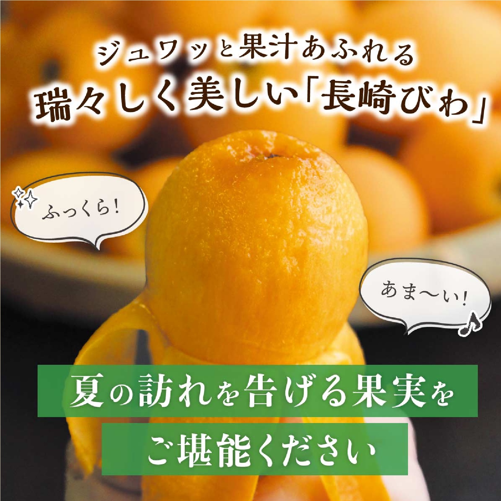 長崎びわ 1箱 500g(12玉) 