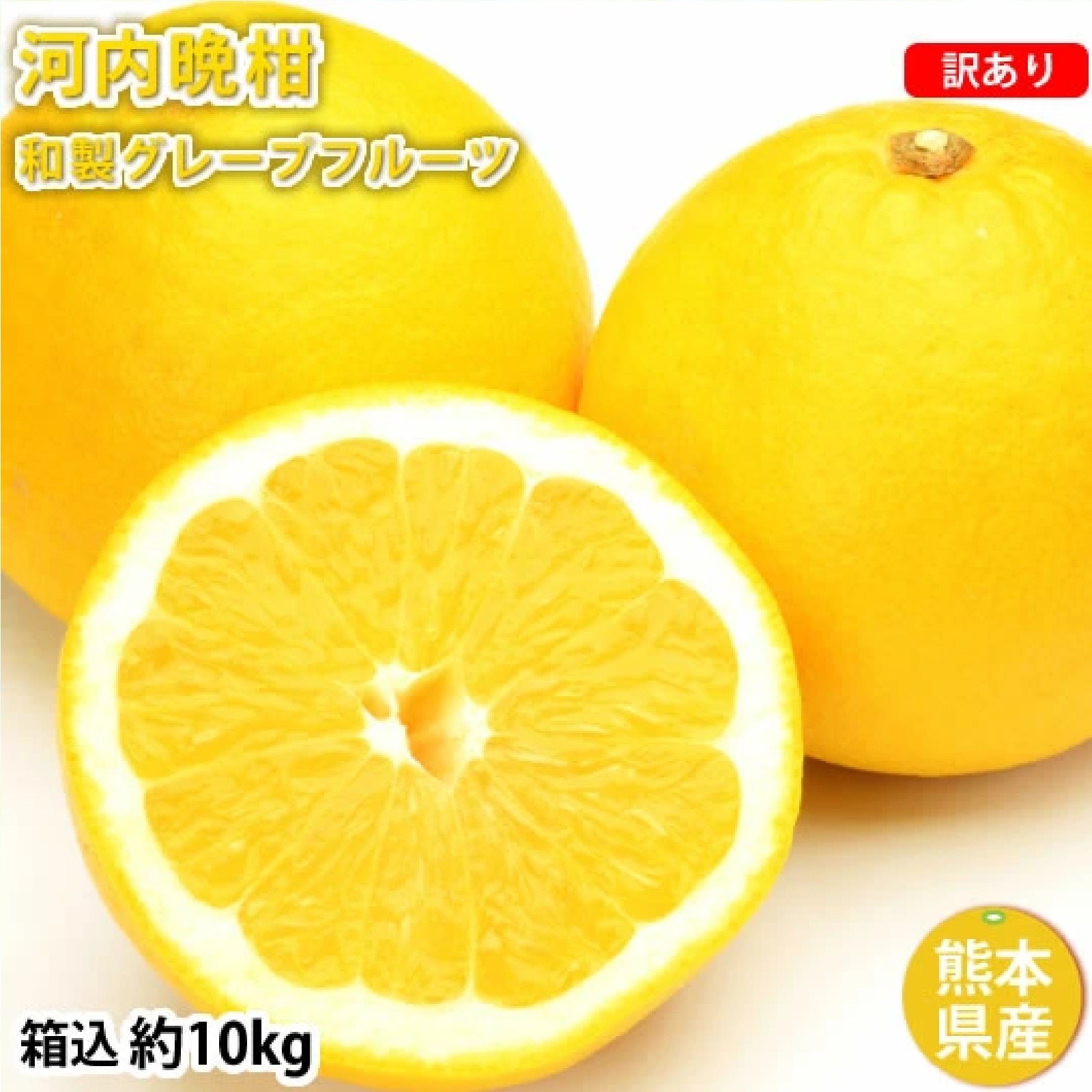 訳あり河内晩柑 10kg 箱込 (内容量9kg+不良果補償分500g) S〜3L