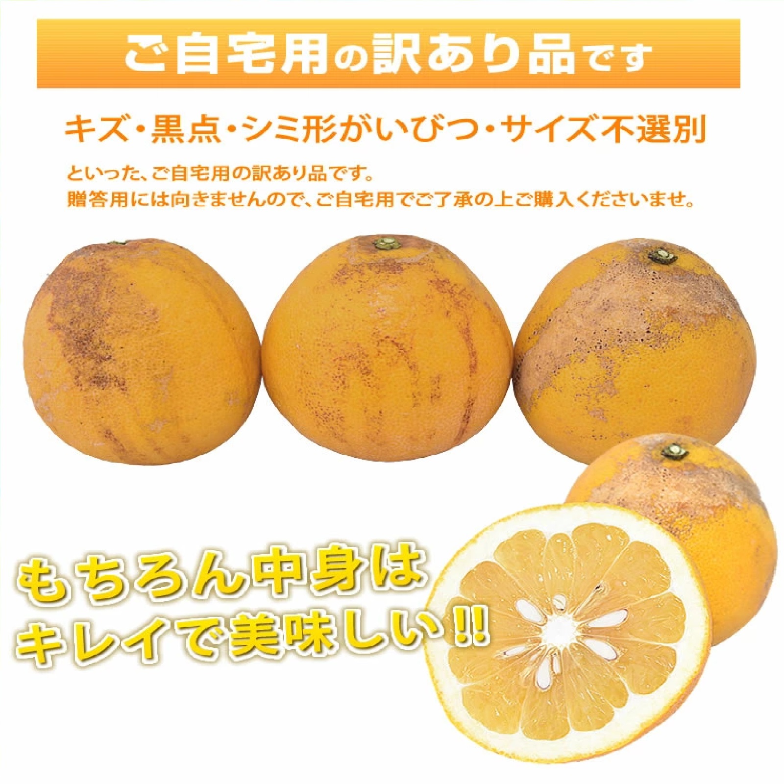 訳あり河内晩柑 10kg 箱込 (内容量9kg+不良果補償分500g) S〜3L