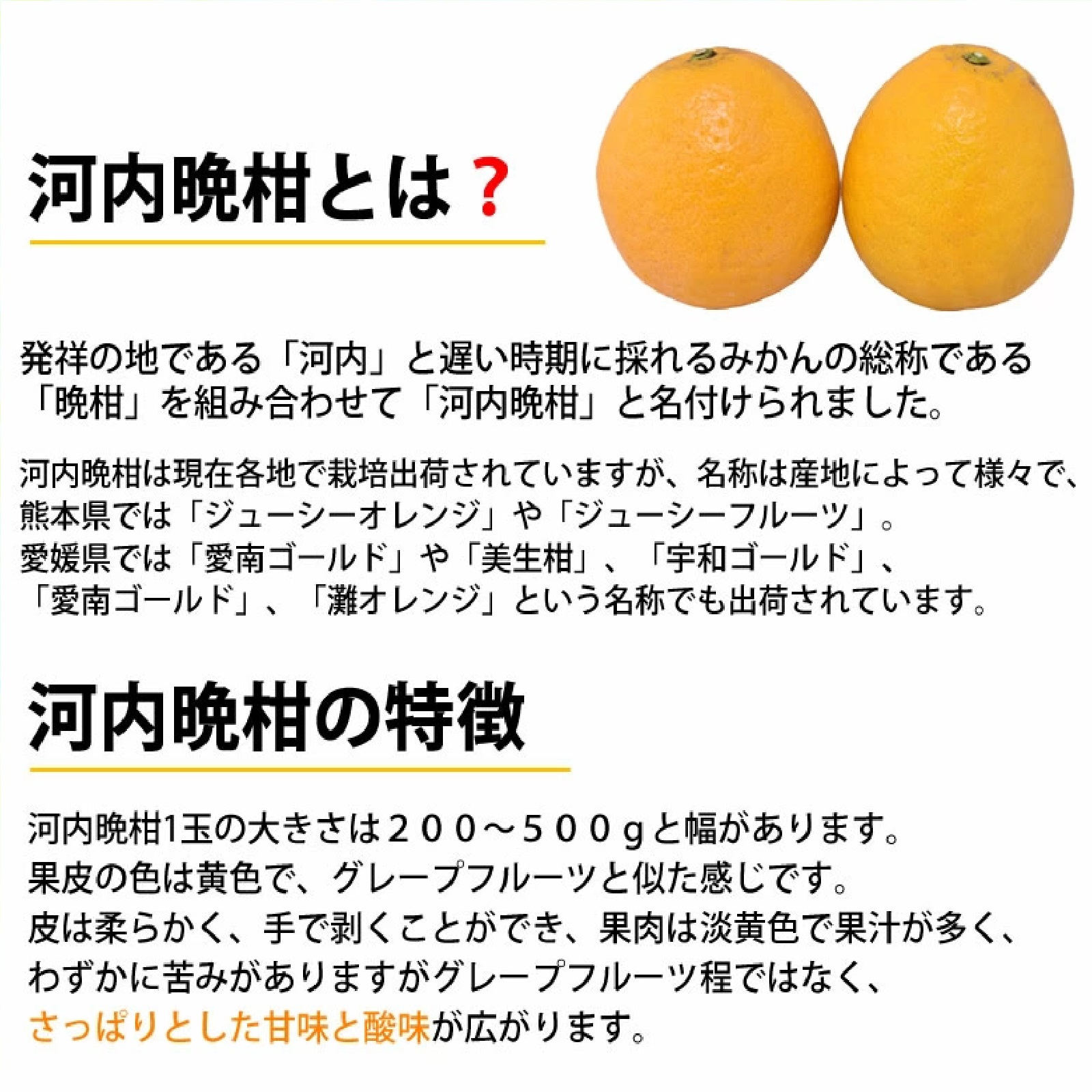 訳あり河内晩柑 10kg 箱込 (内容量9kg+不良果補償分500g) S〜3L