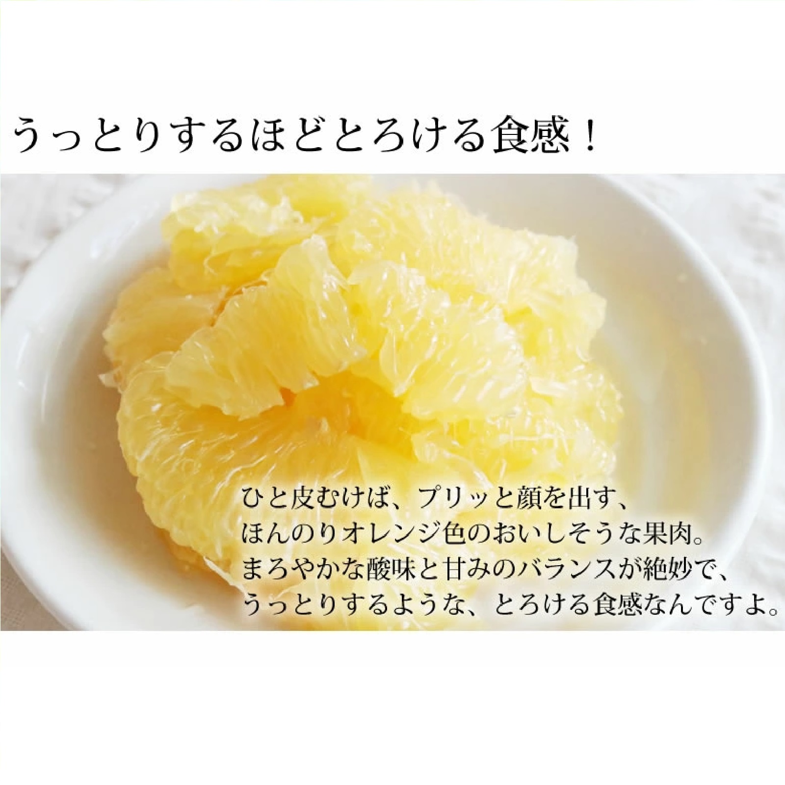 訳あり河内晩柑 10kg 箱込 (内容量9kg+不良果補償分500g) S〜3L