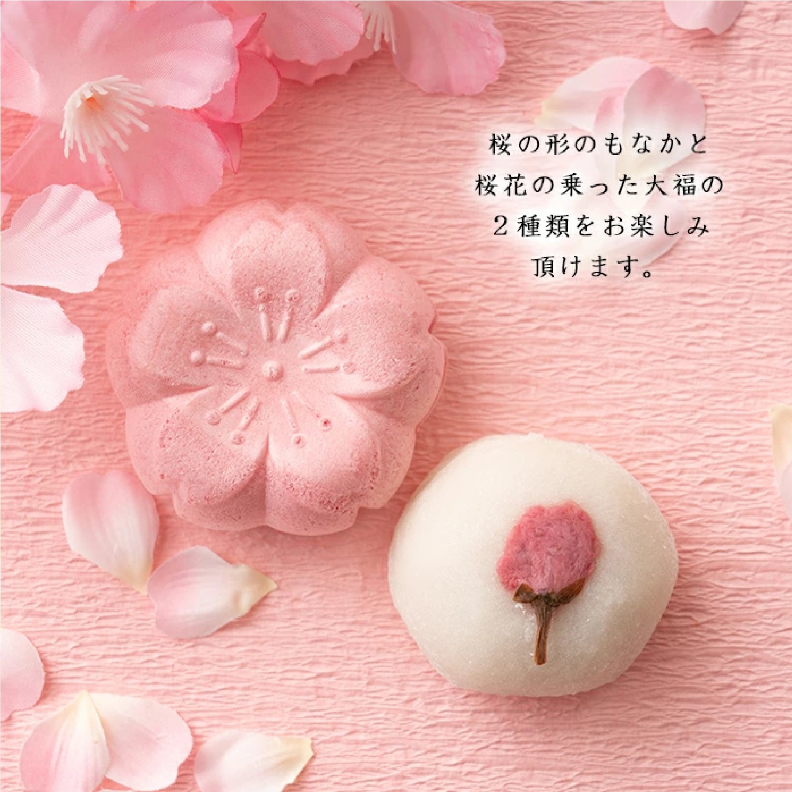 御菓子処 湊屋 春菓子 詰め合わせ【桜大福/春色最中 各3つ】