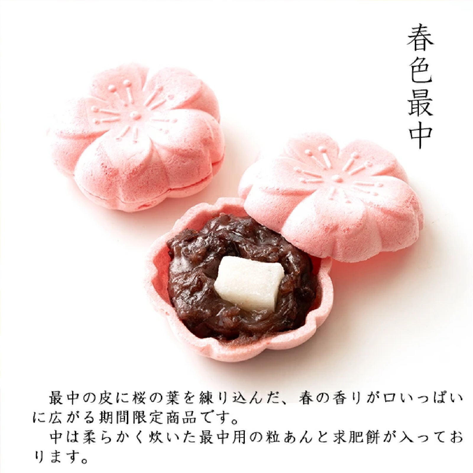 御菓子処 湊屋 春菓子 詰め合わせ【桜大福/春色最中 各3つ】