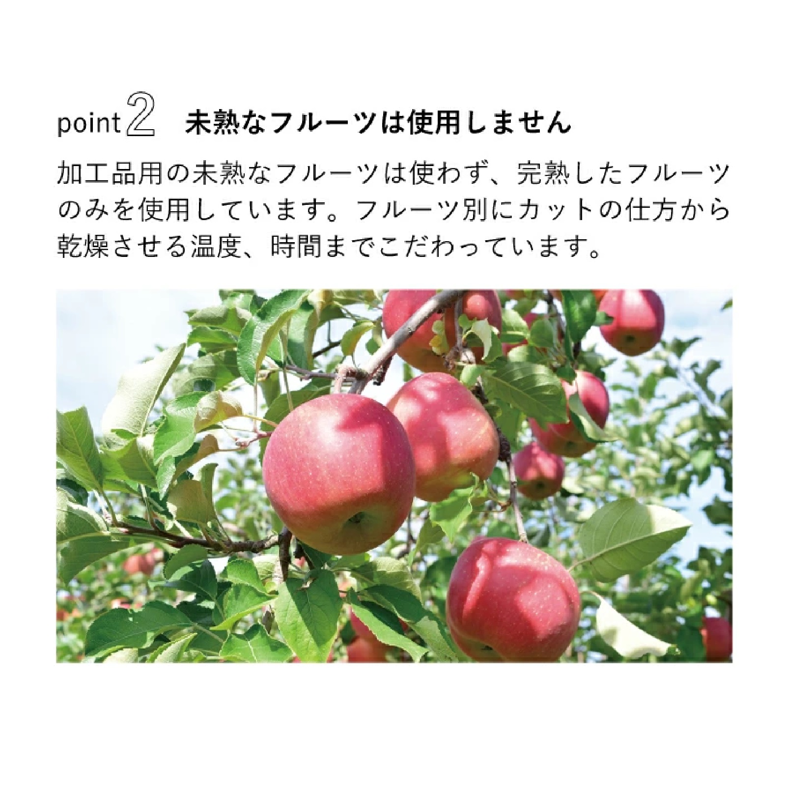 COPECO ドライフルーツティー （ 紅茶 ） 10種