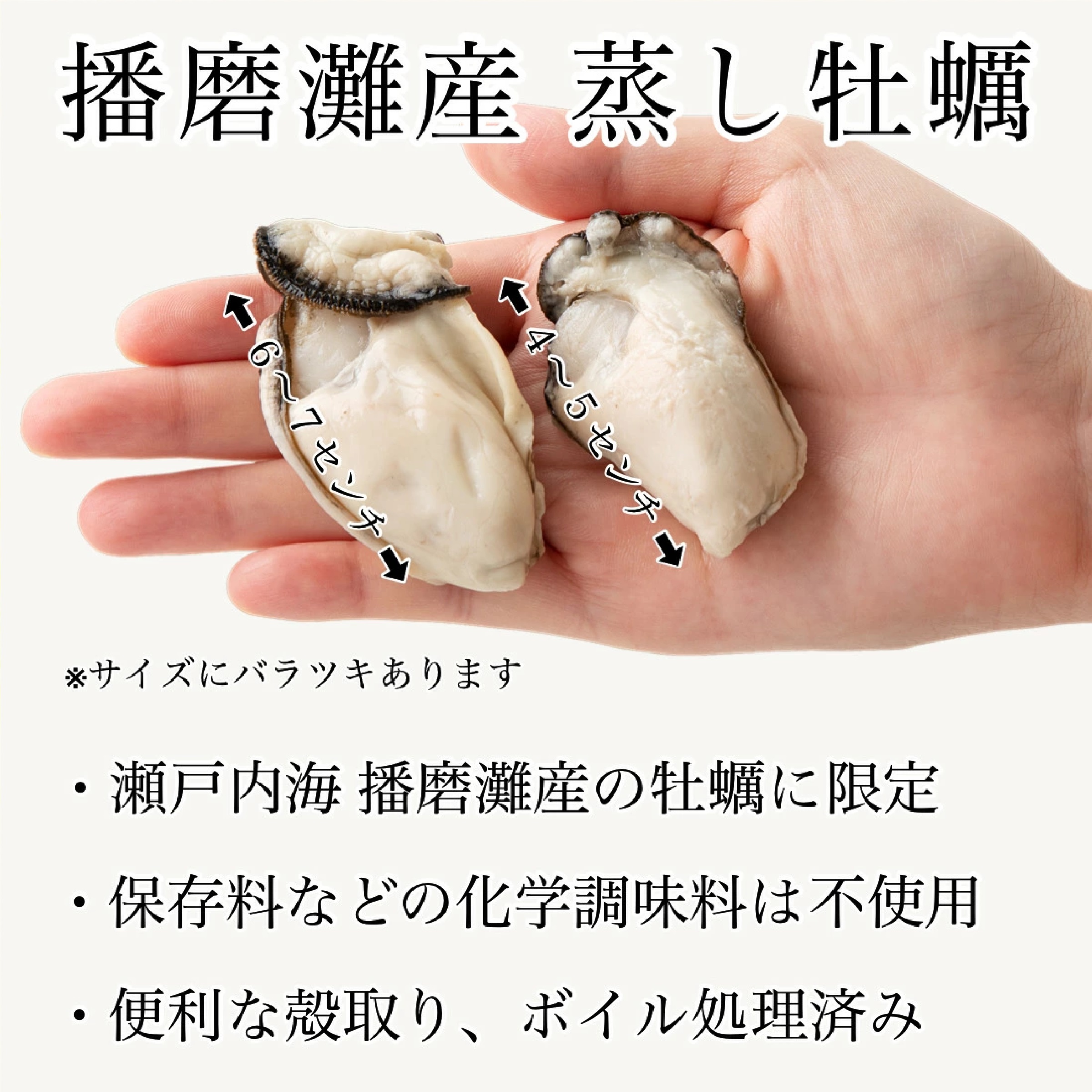 播磨灘産 大粒 蒸し 牡蠣 500g(約20-25個入)