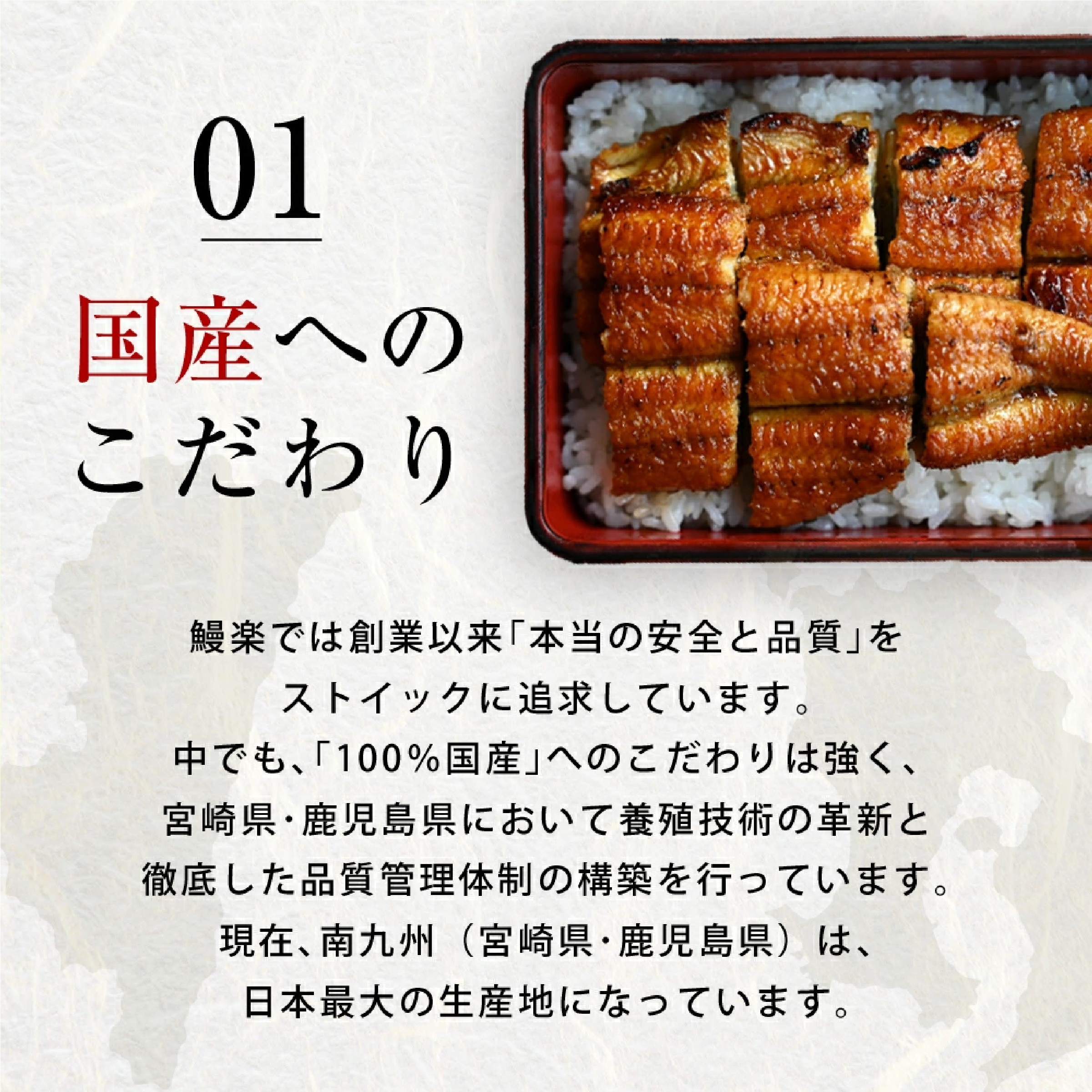 鰻楽 国産 うなぎ 140gサイズ 長焼 2尾
