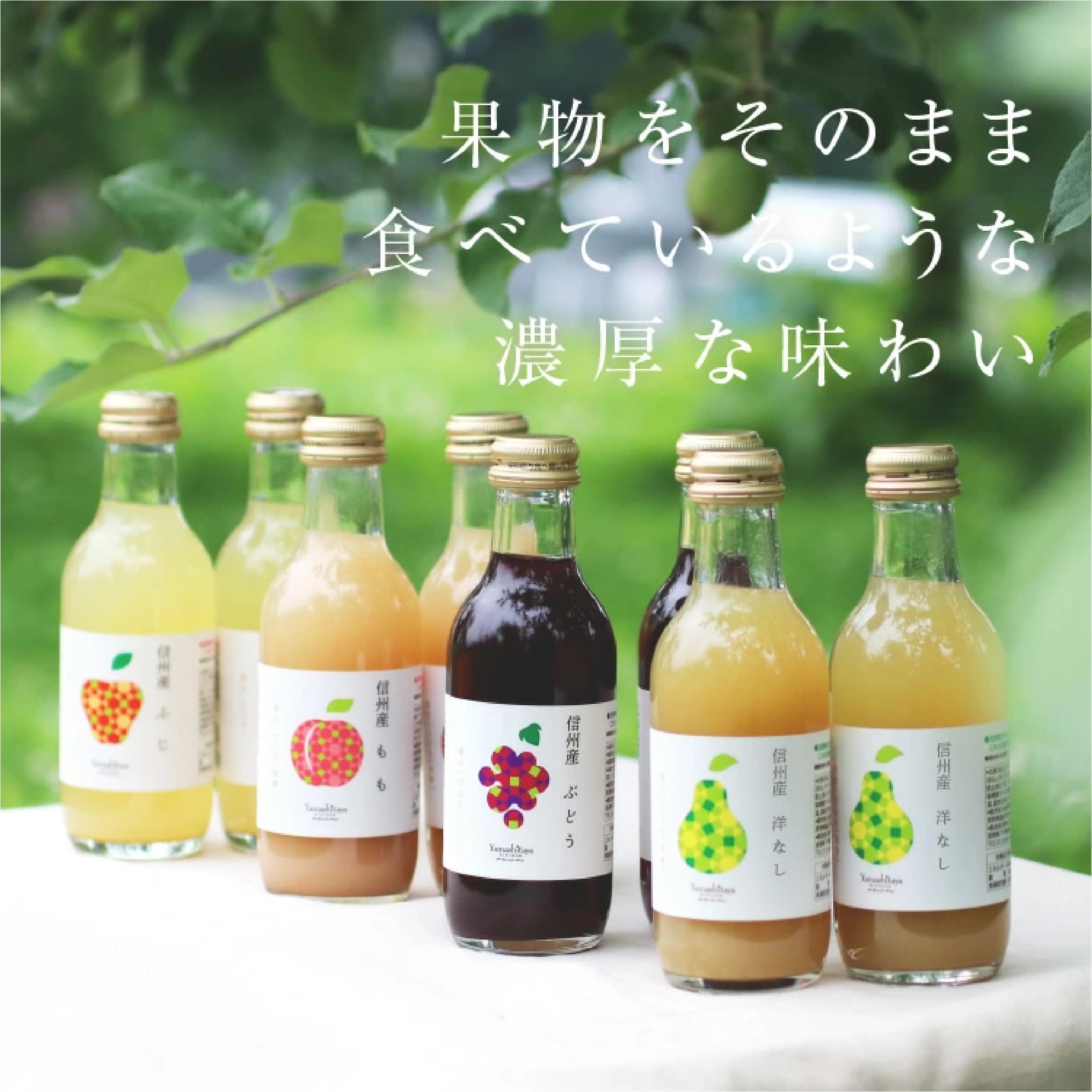 信州産 果汁100％ ジュース 200ml× 8本（りんご・桃 ・ 洋梨・ ぶどう）