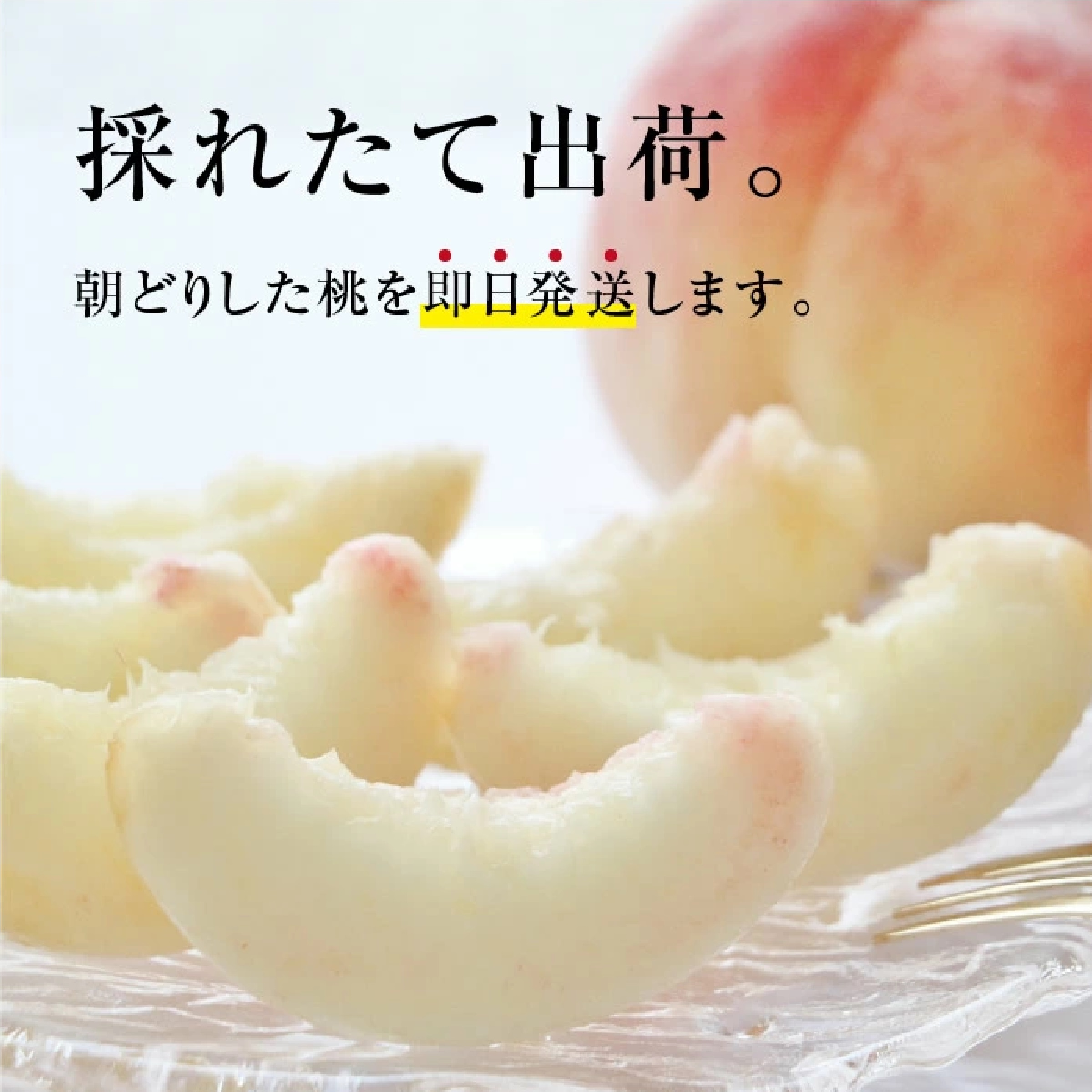 信州・長野産 桃 3kg あかつき 秀品