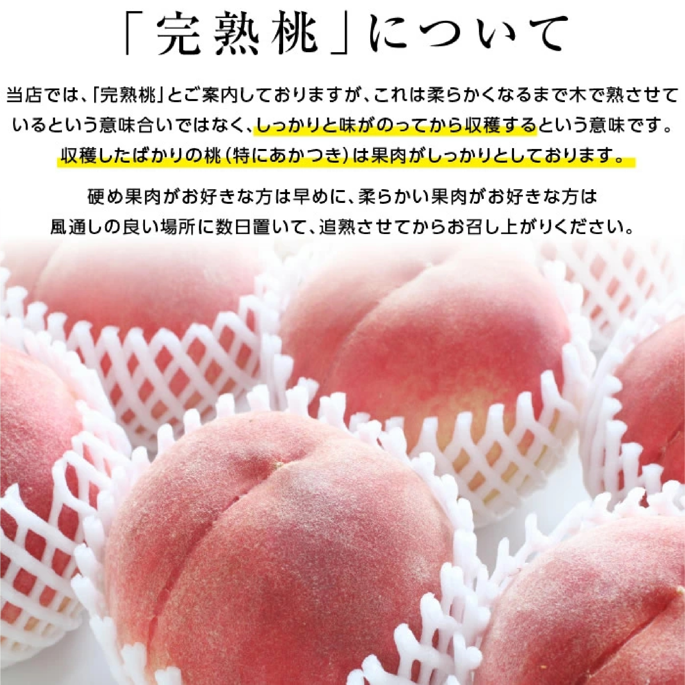 信州・長野産 桃 3kg あかつき 秀品