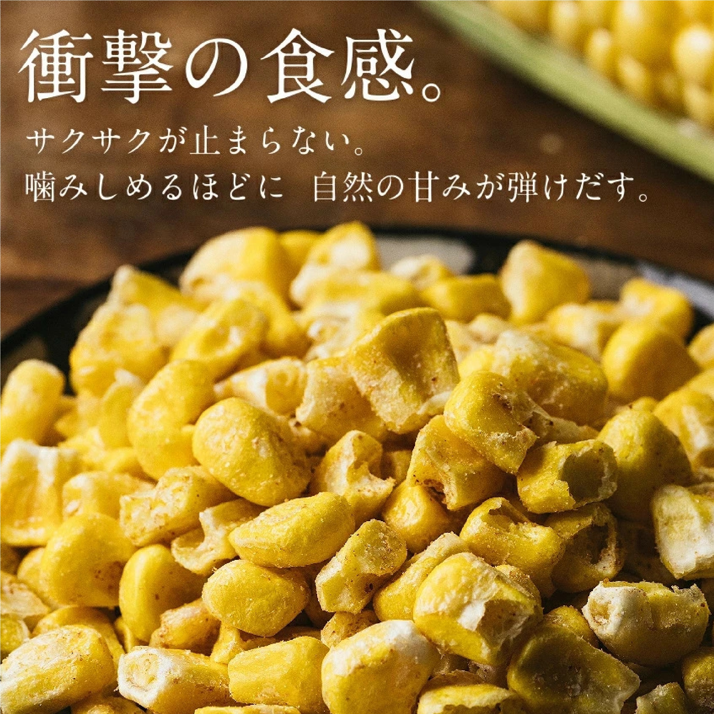 モロコッチ 3種セット（満潮のしお仕立て、バーベキュー味、醤油バター味）