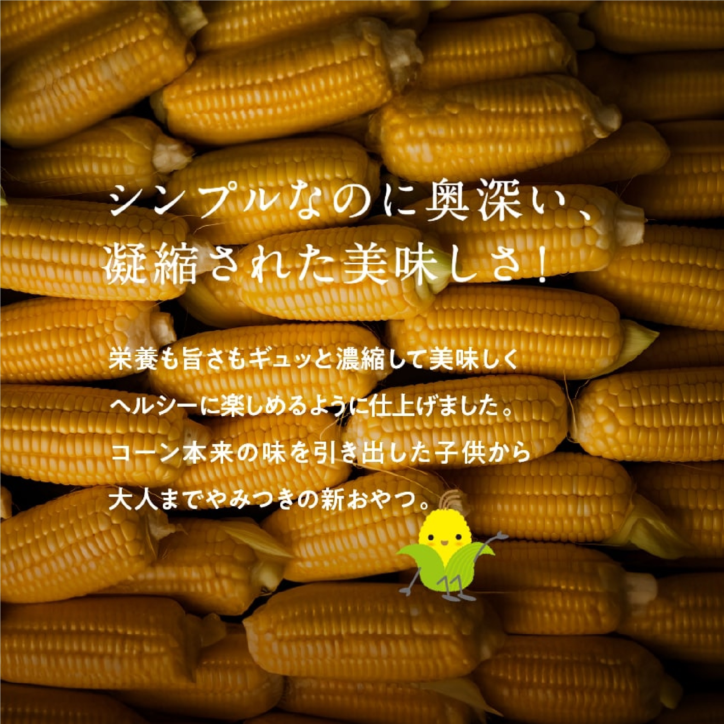 モロコッチ 3種セット（満潮のしお仕立て、バーベキュー味、醤油バター味）