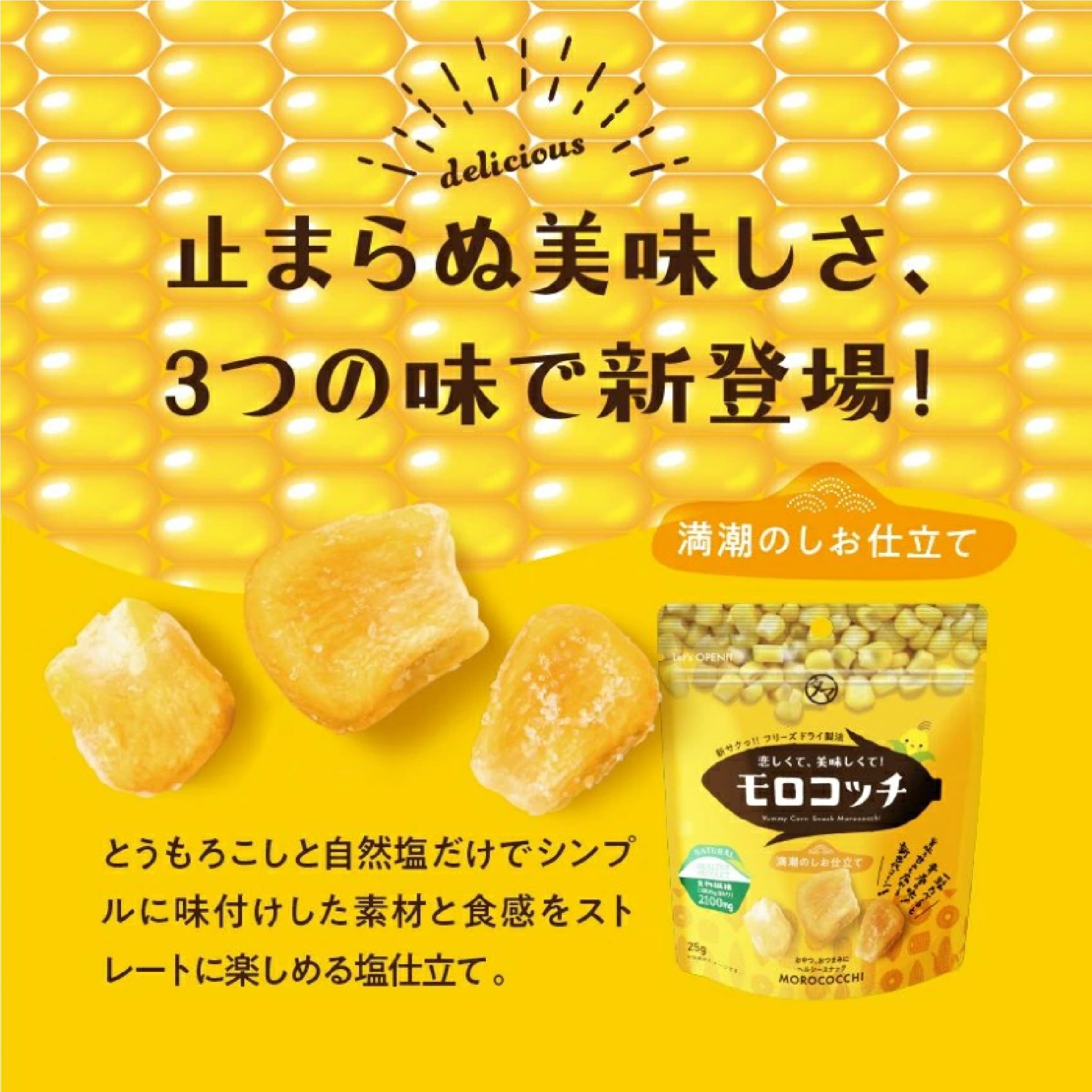 モロコッチ 3種セット（満潮のしお仕立て、バーベキュー味、醤油バター味）