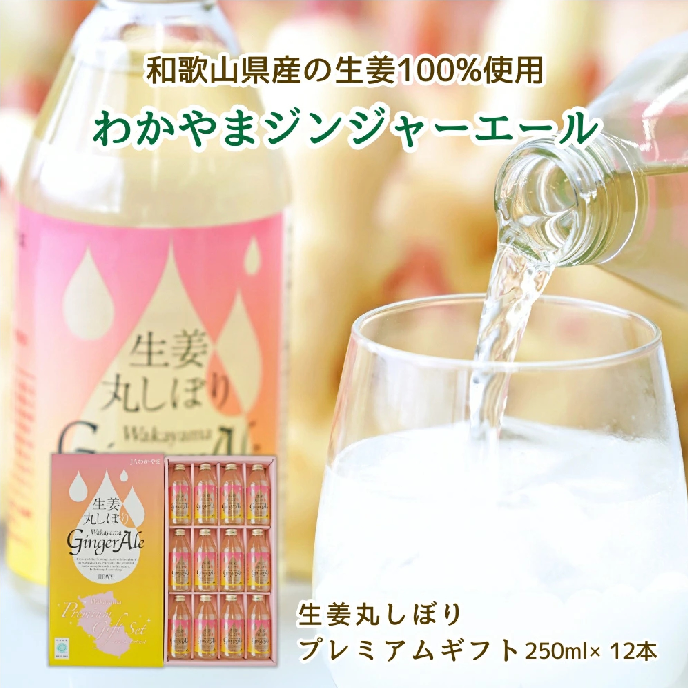 生姜丸しぼり わかやまジンジャーエール プレミアムギフト250ml×12本 