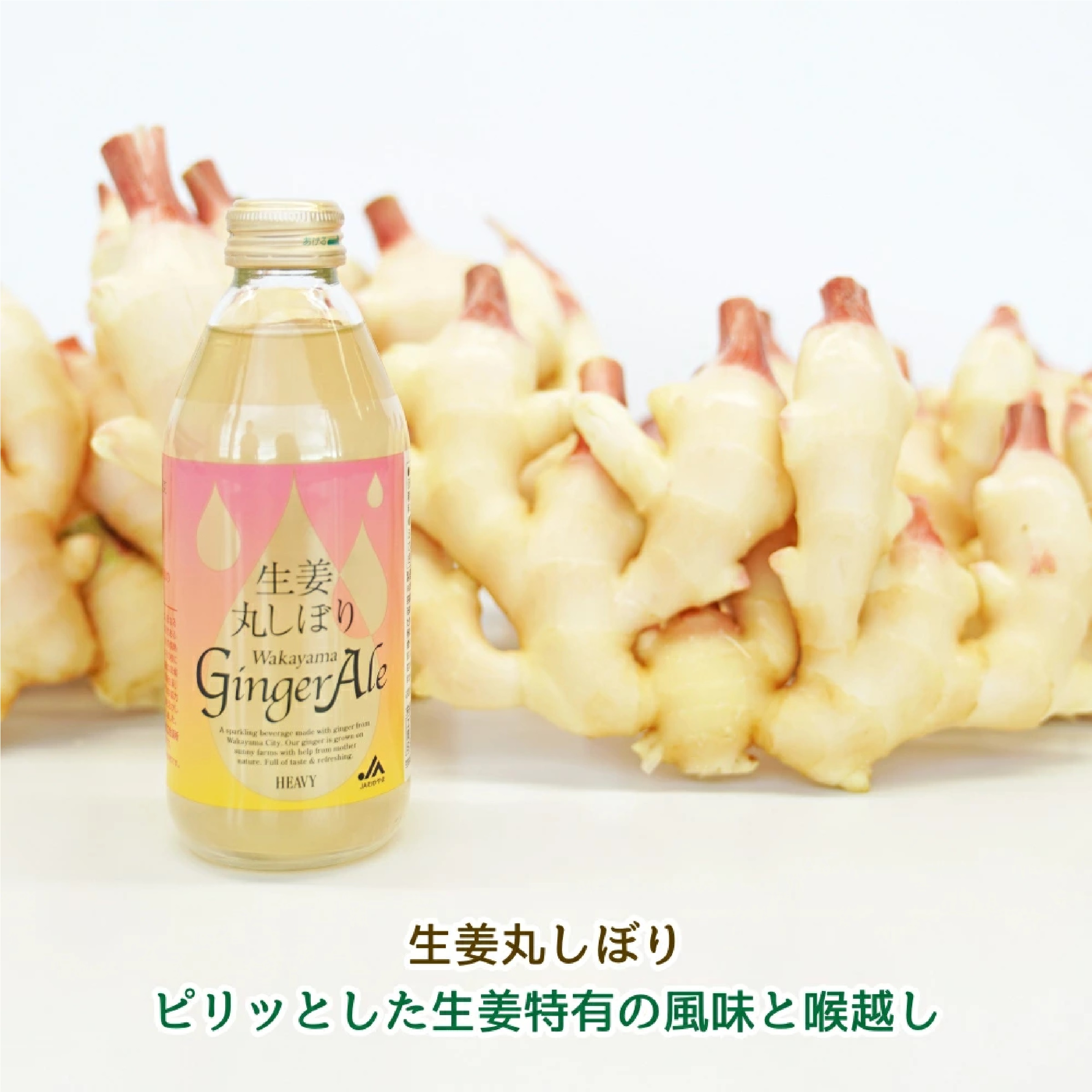 生姜丸しぼり わかやまジンジャーエール プレミアムギフト250ml×12本 
