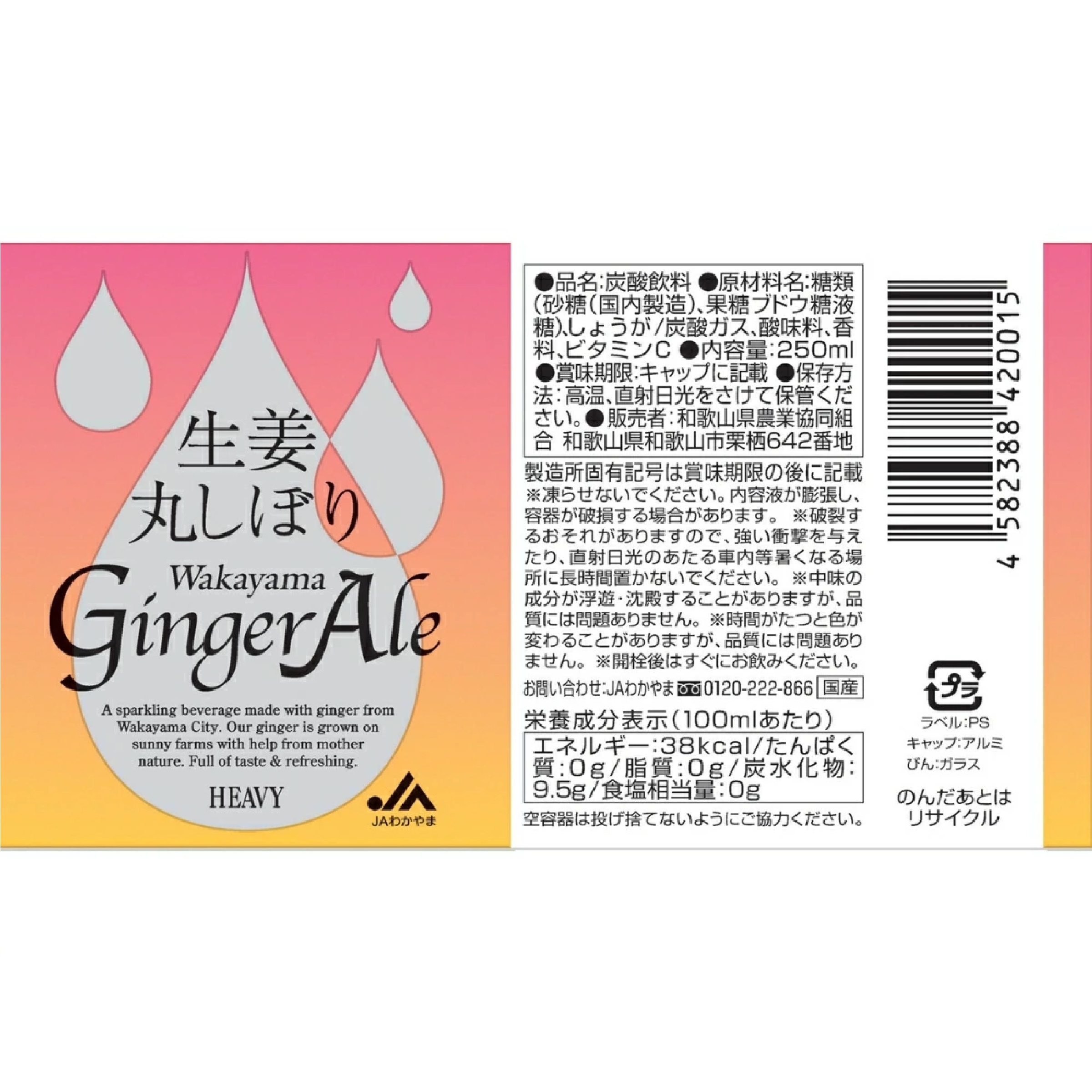 生姜丸しぼり わかやまジンジャーエール プレミアムギフト250ml×12本 