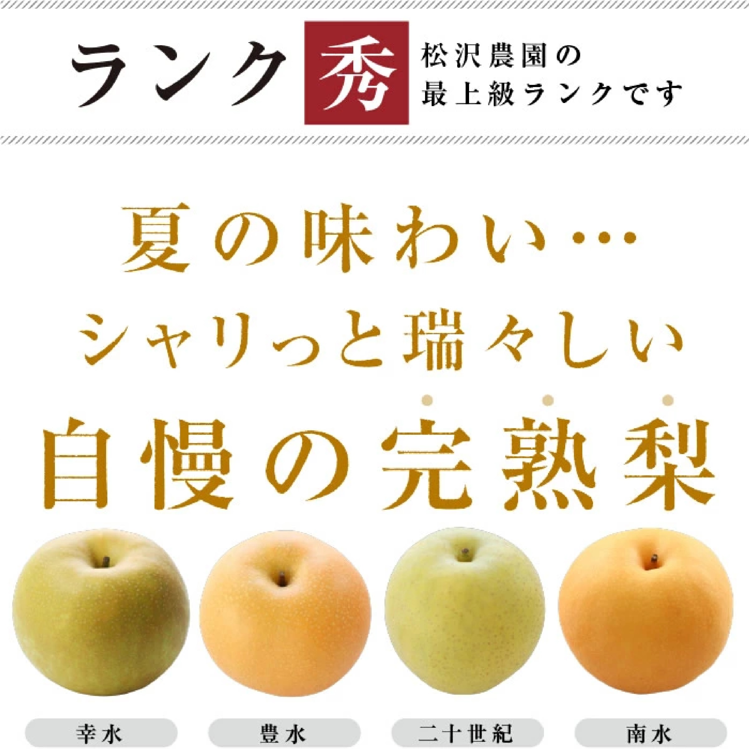 長野県産 梨 3kg  （幸水/豊水/二十世紀/南水のいずれか）