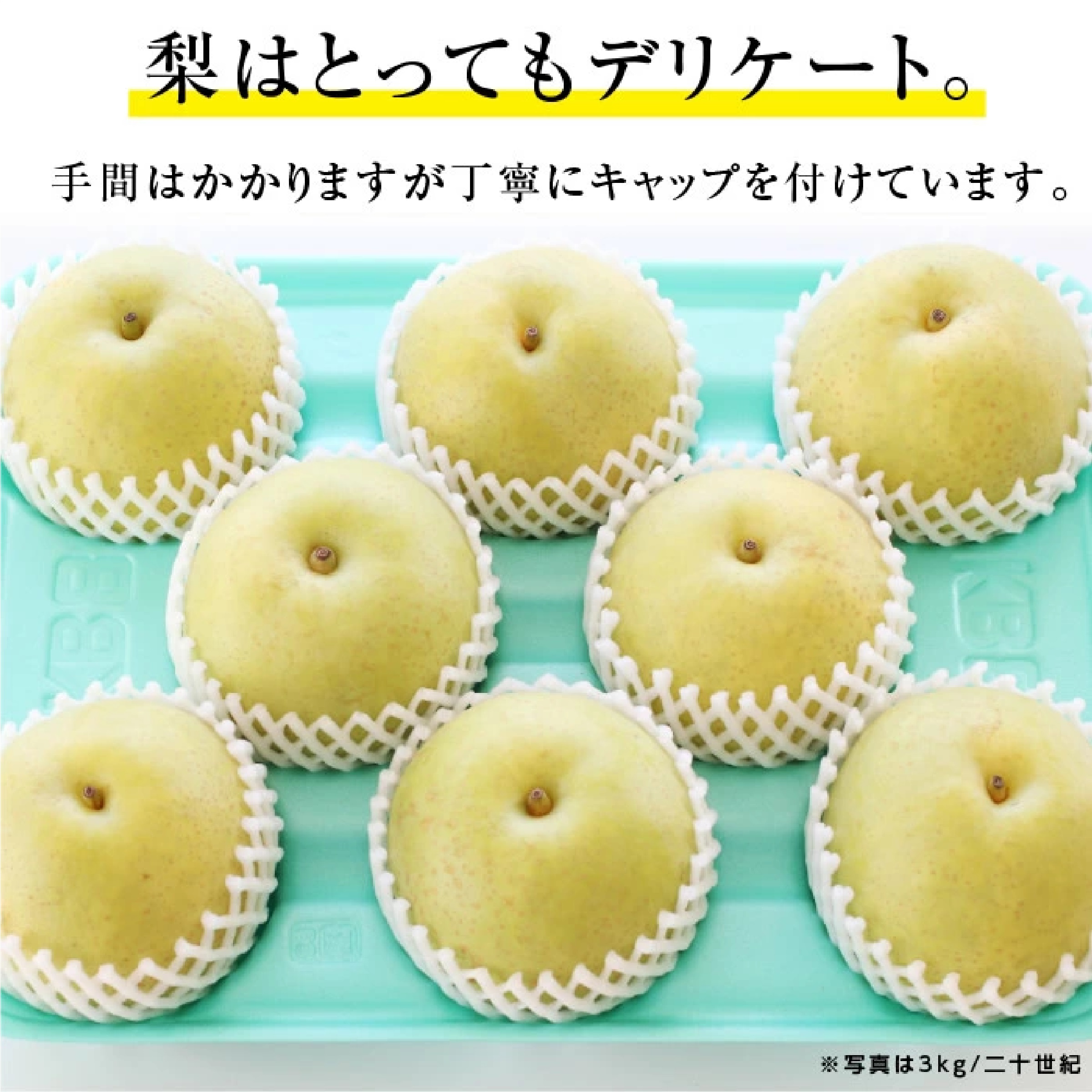 長野県産 梨 3kg  （幸水/豊水/二十世紀/南水のいずれか）
