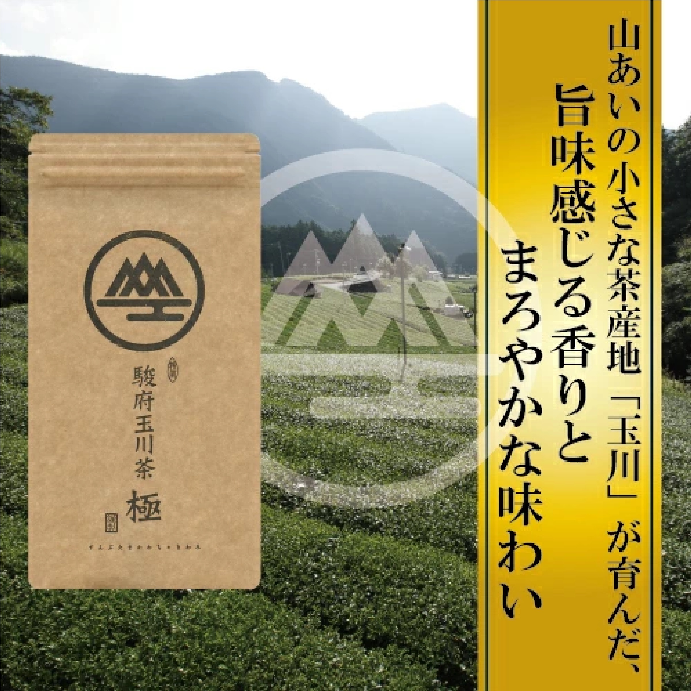 駿府玉川茶 極 100ｇ＋駿府玉川茶 100ｇ セット