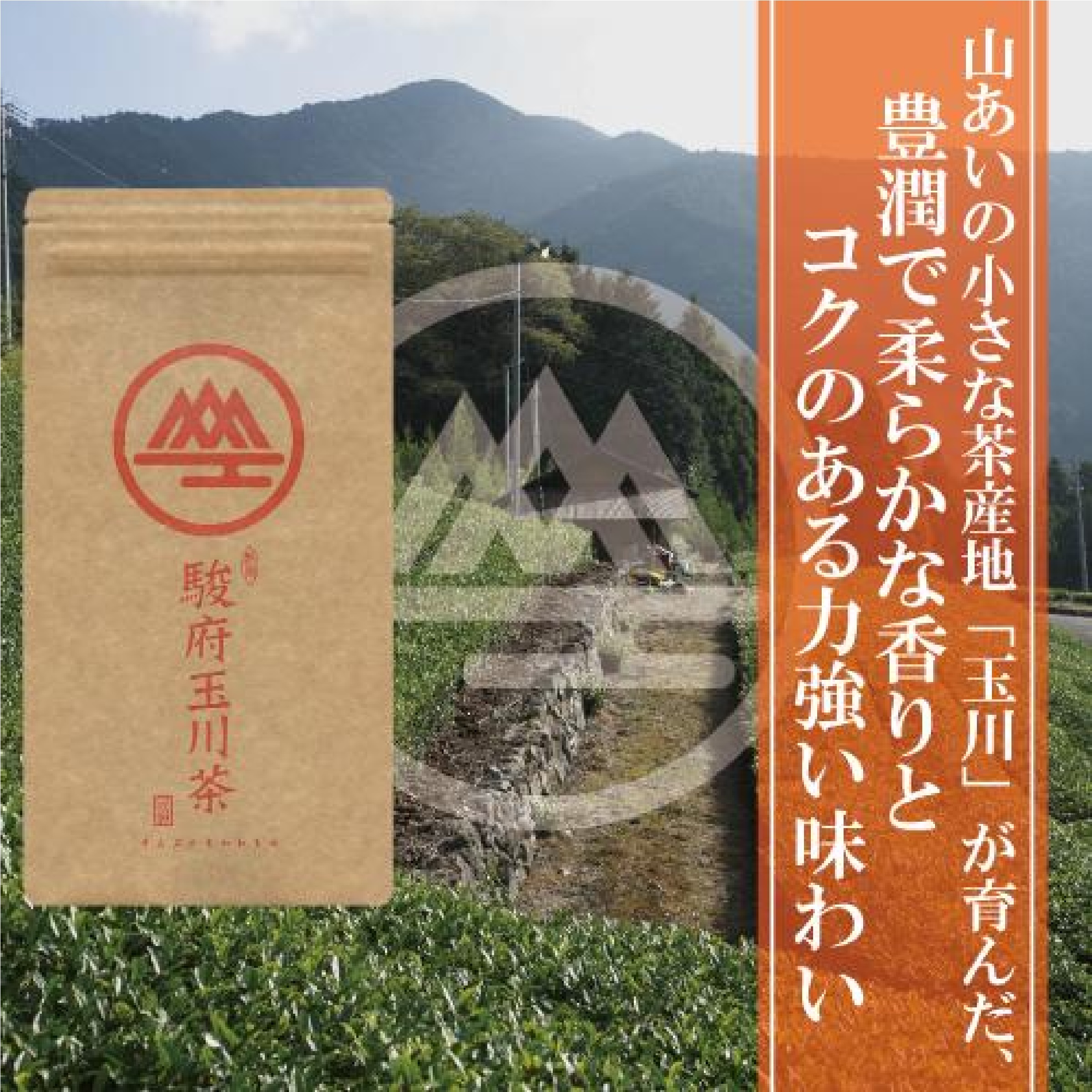 駿府玉川茶 極 100ｇ＋駿府玉川茶 100ｇ セット