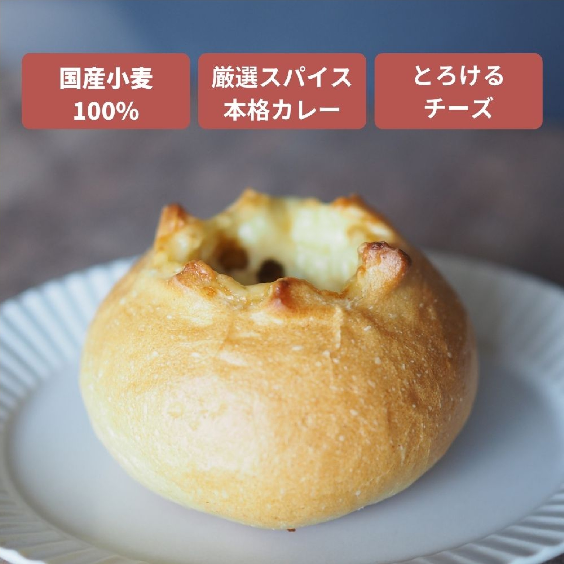 焼きカレーパンセット 甘口×2 / 激辛×2