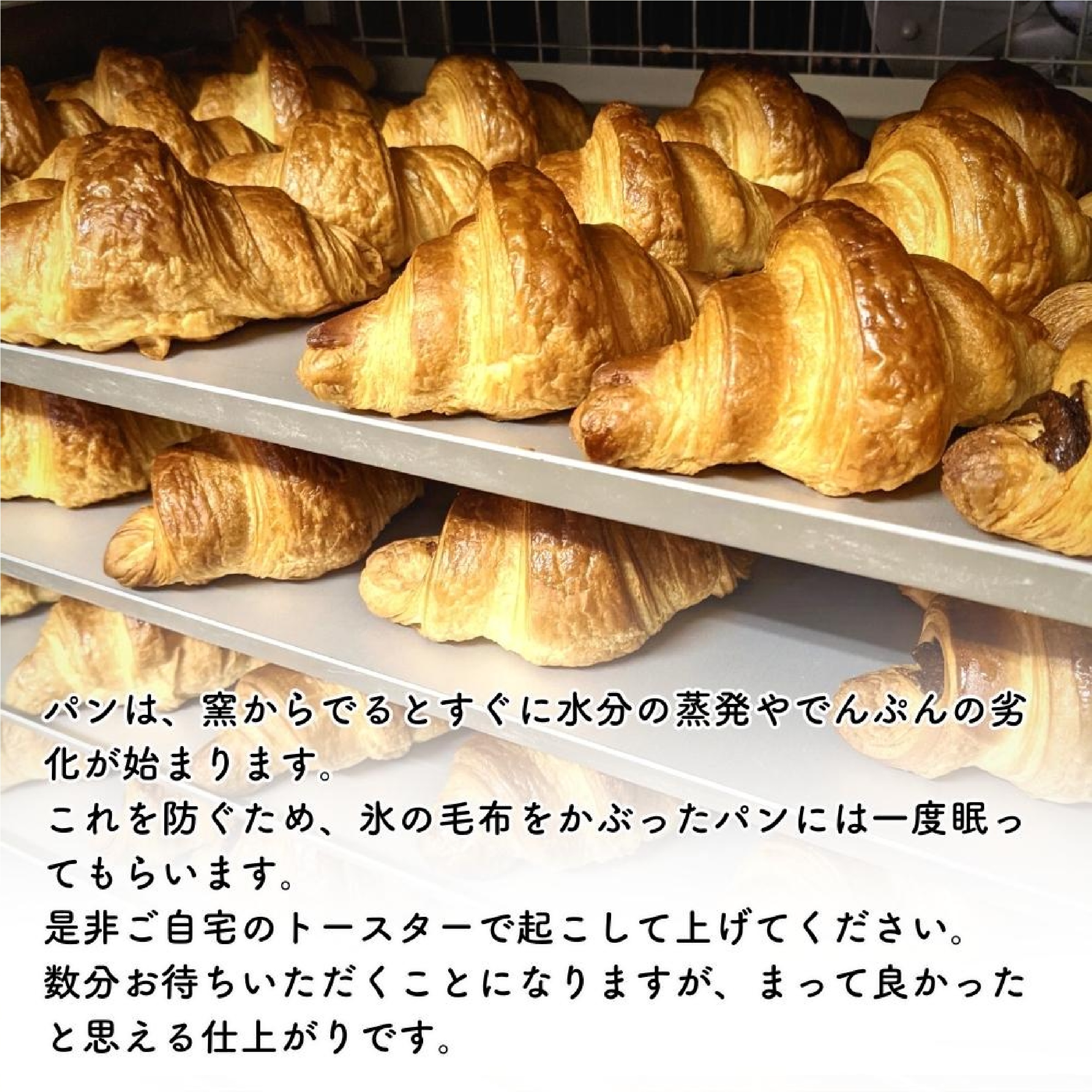 焼きカレーパンセット 甘口×2 / 激辛×2