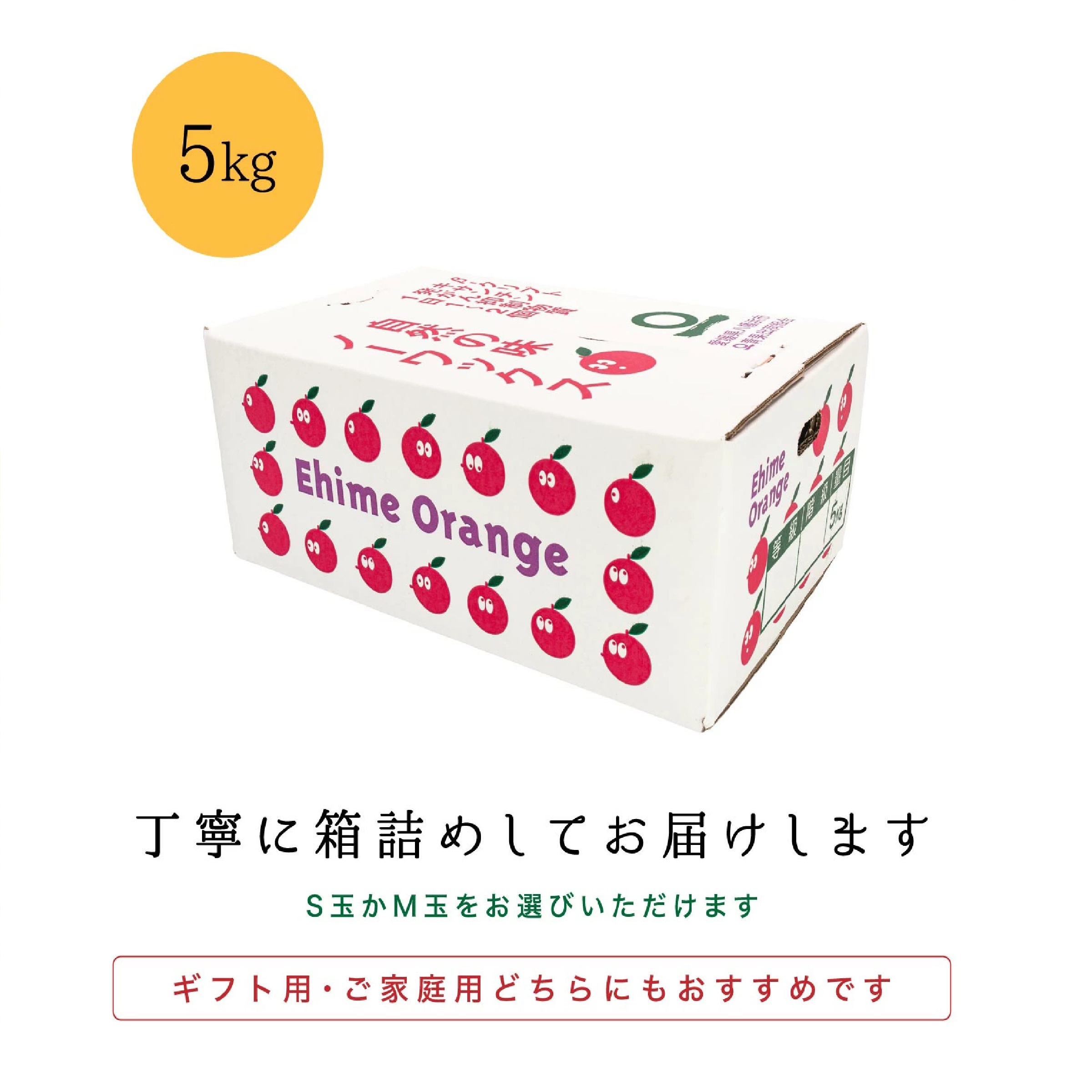 愛媛西宇和産 ファミリー用 極早生みかん 5kg ※10月以降発送