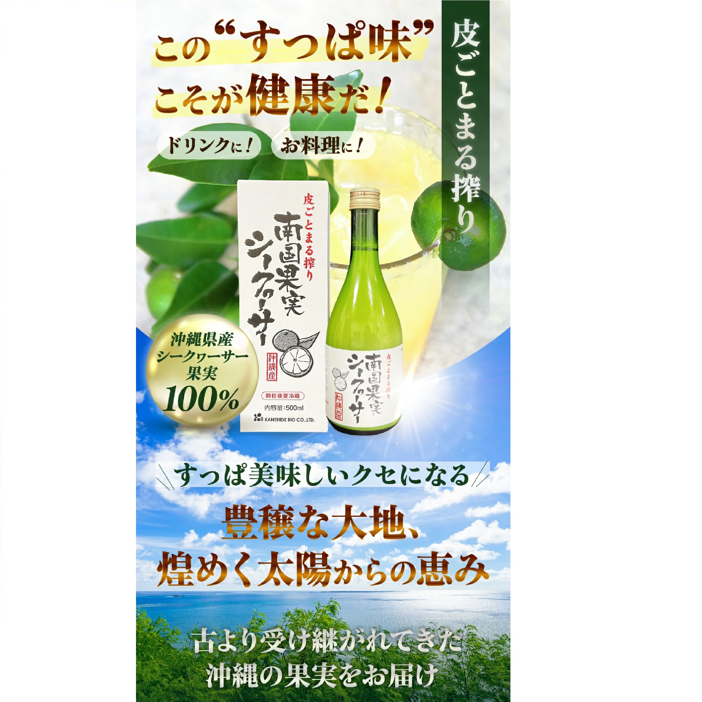 南国果実シークヮーサー 500ml