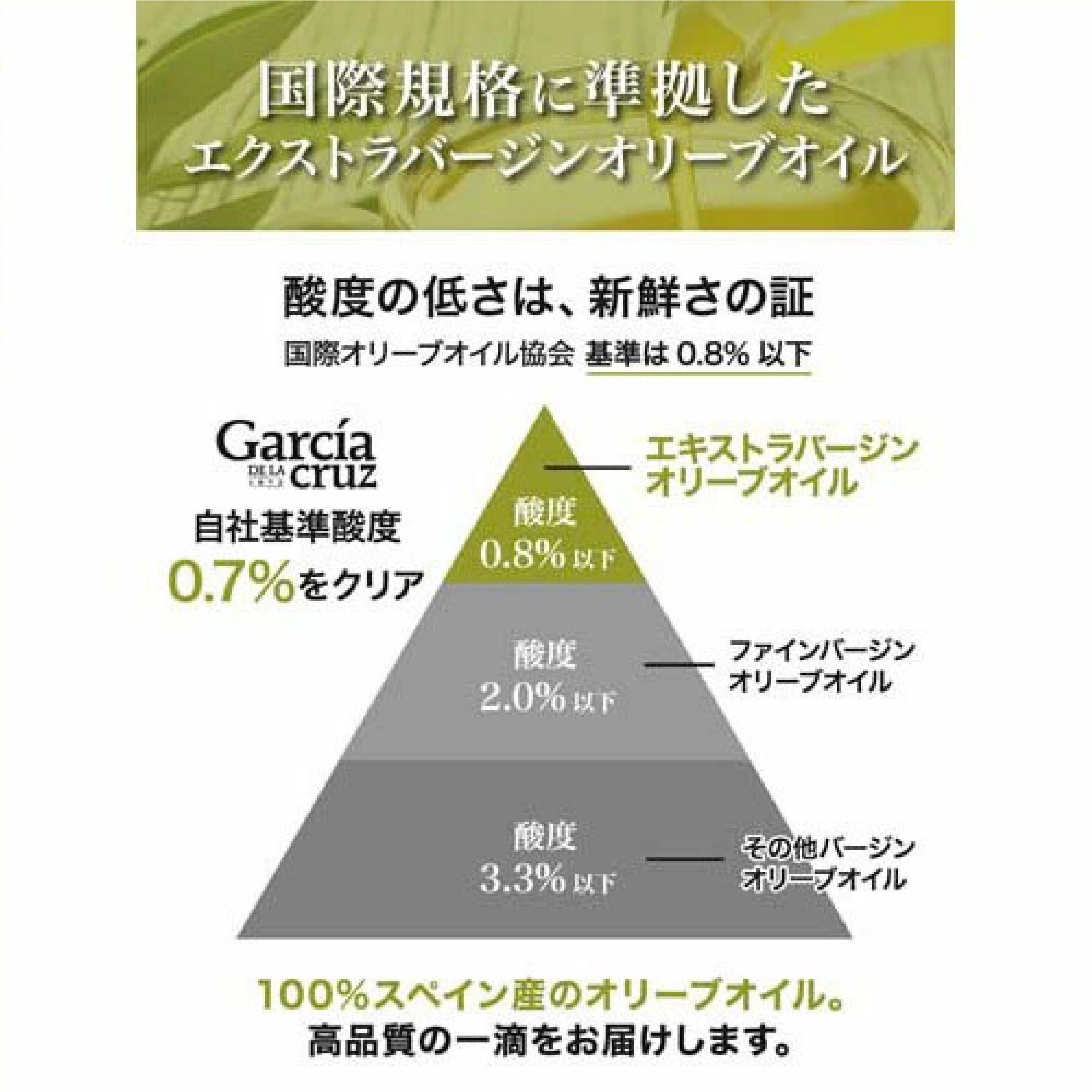 ガルシア エキストラバージン オリーブオイル スペイン産 750ml 2本セット