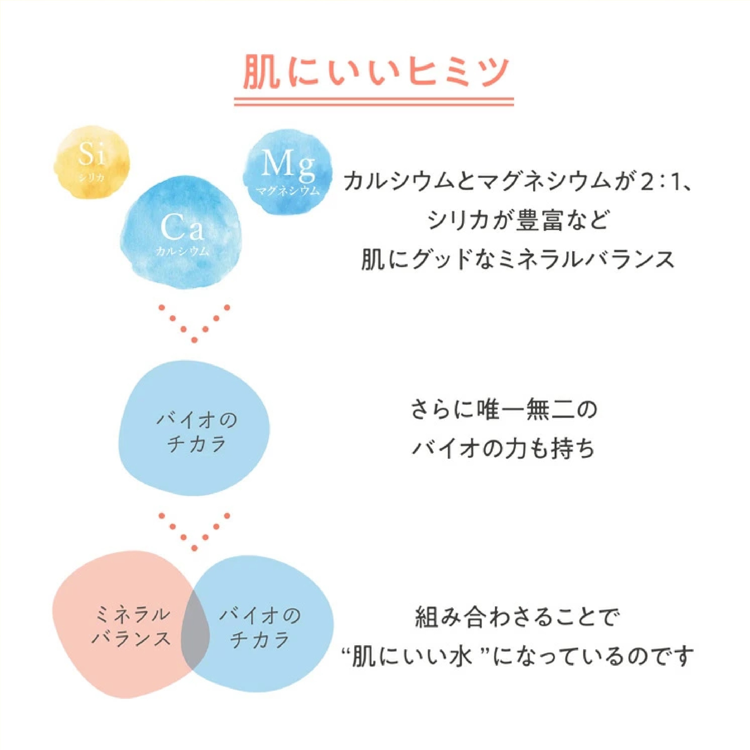 アベンヌウォーター L(300g) +J(50g)付き