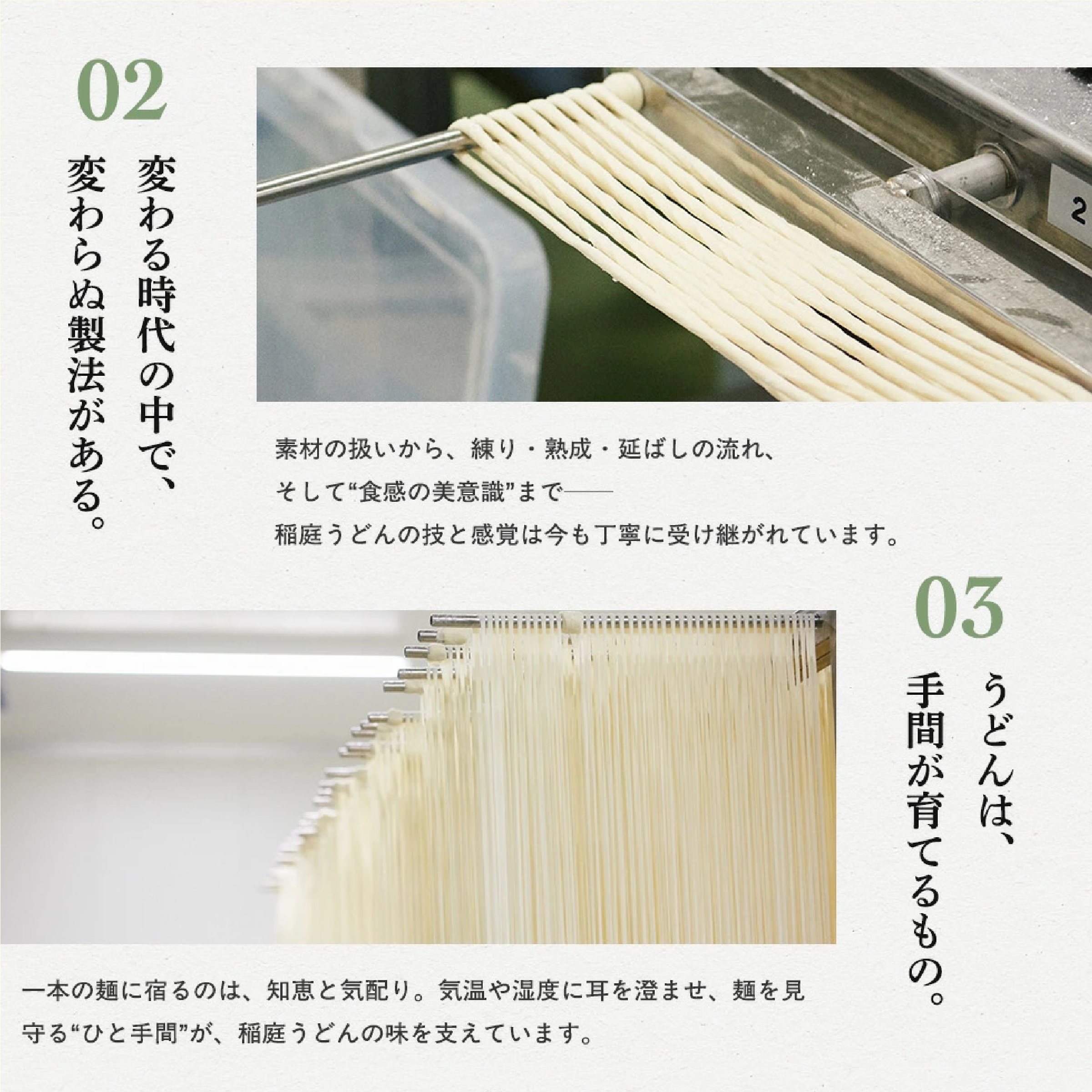 寛文五年堂 稲庭うどん 160g×5袋