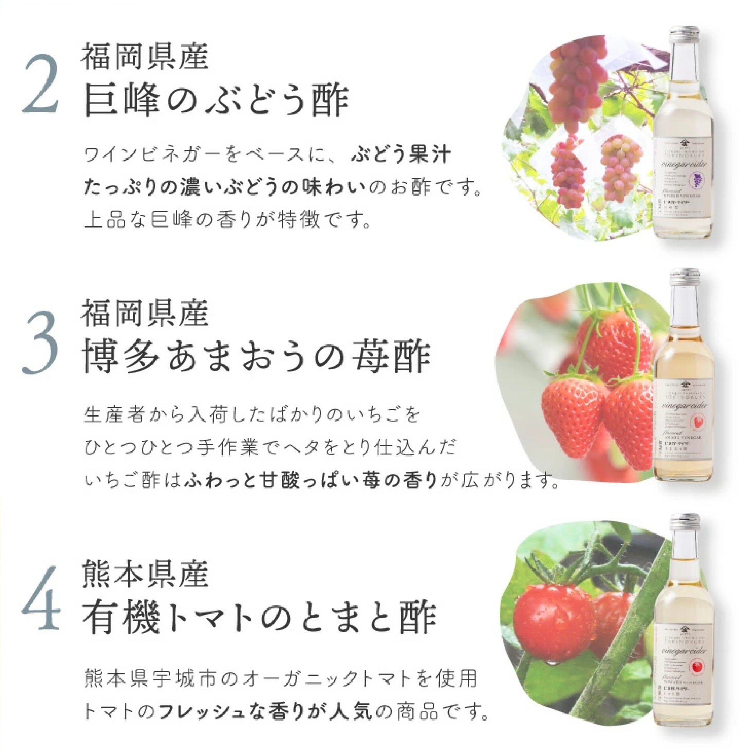 庄分酢ビネガーサイダー3本セット(巨峰酢/あまおう酢/トマト酢)