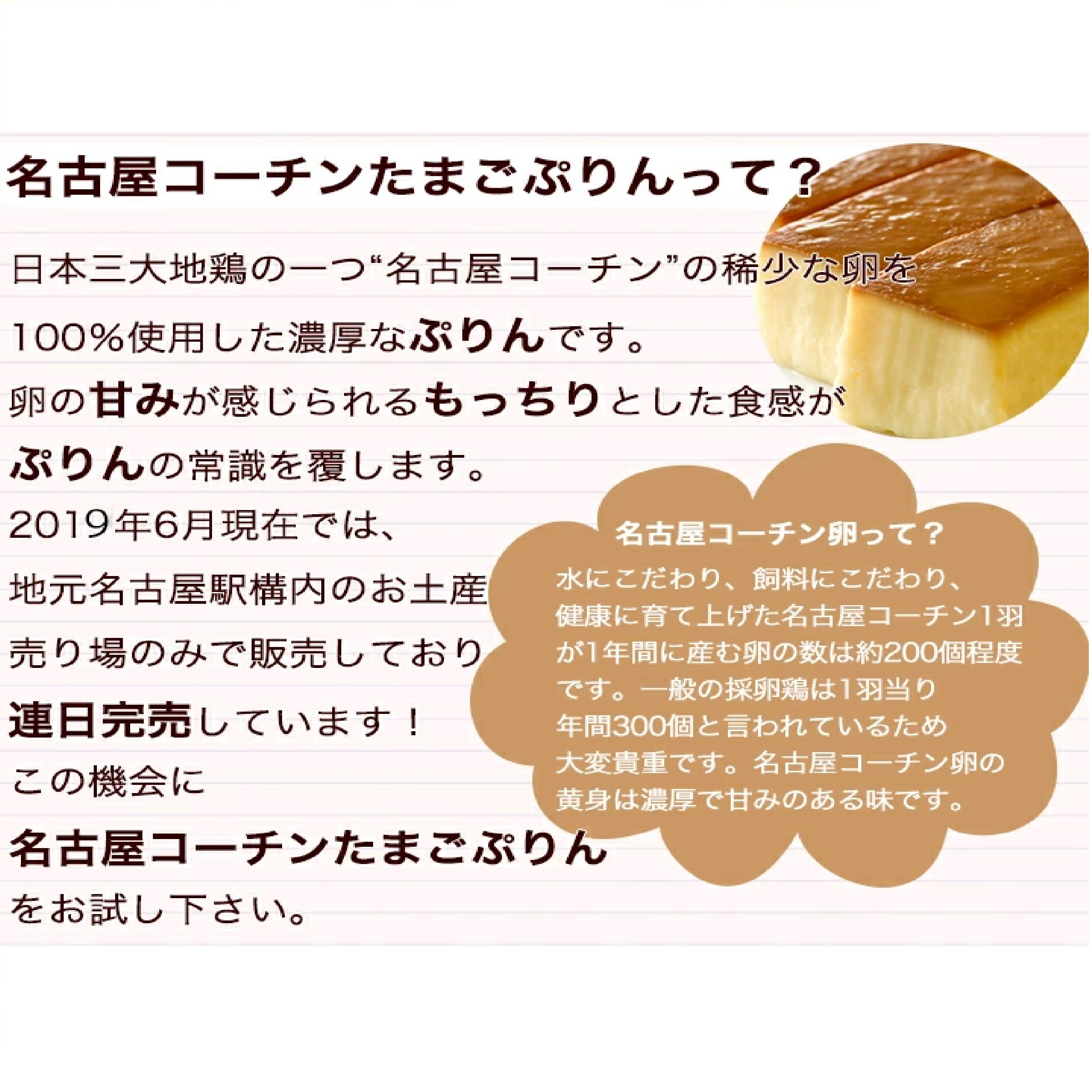 三和の純鶏名古屋コーチンたまごぷりん2個セット