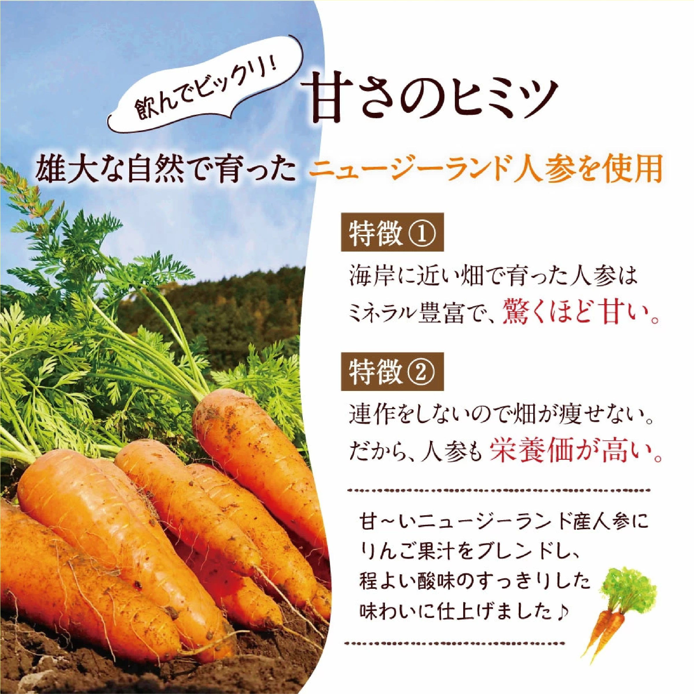 人参りんご100％ 195g×15本